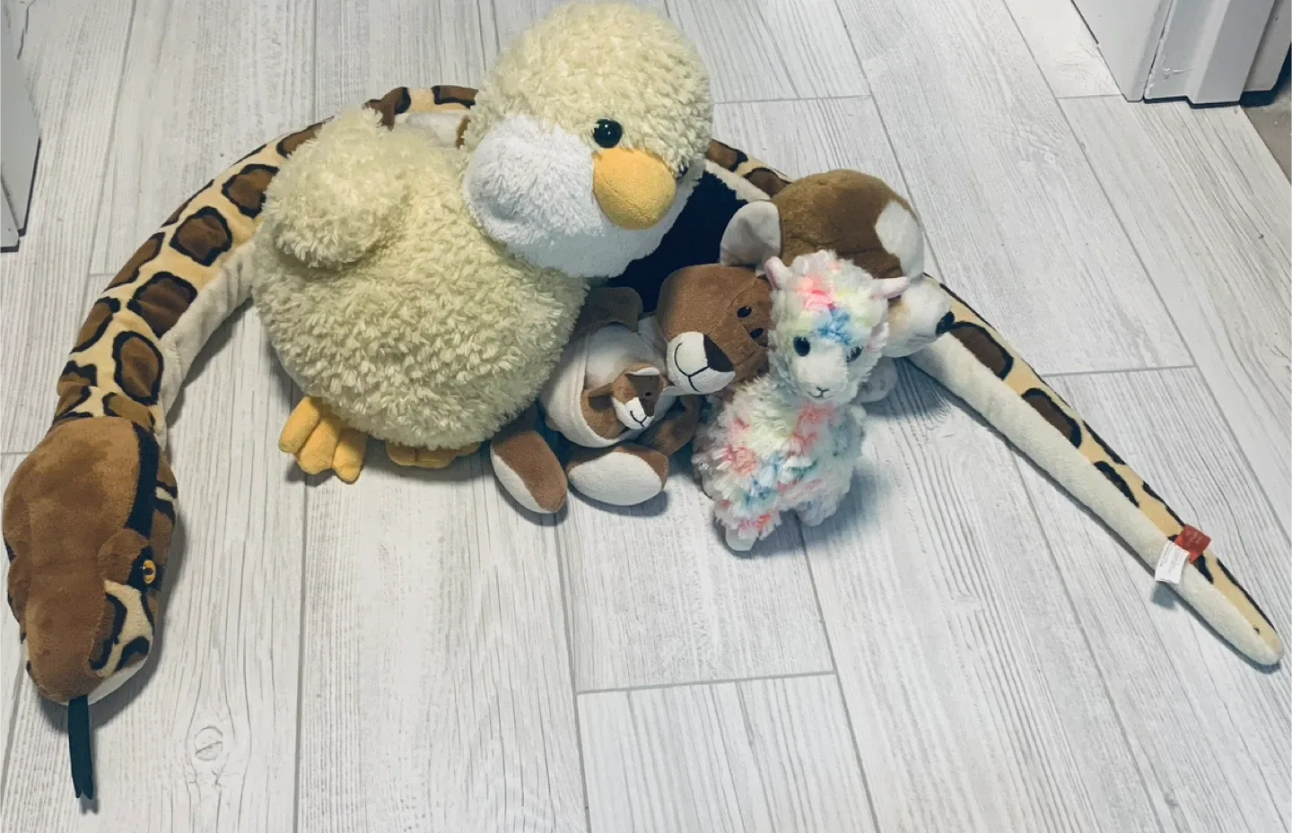 Assorted Plush Toys - Duck, Kangaroo, Llama