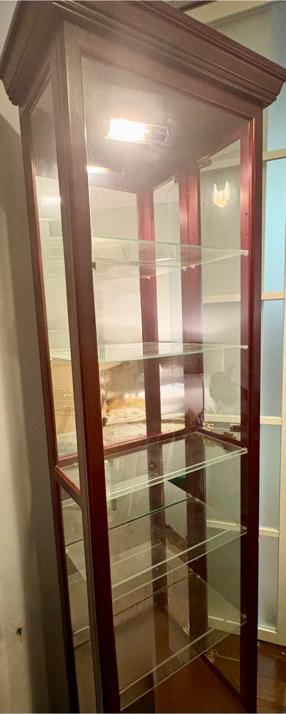 Display Cabinet with Glass Shelves