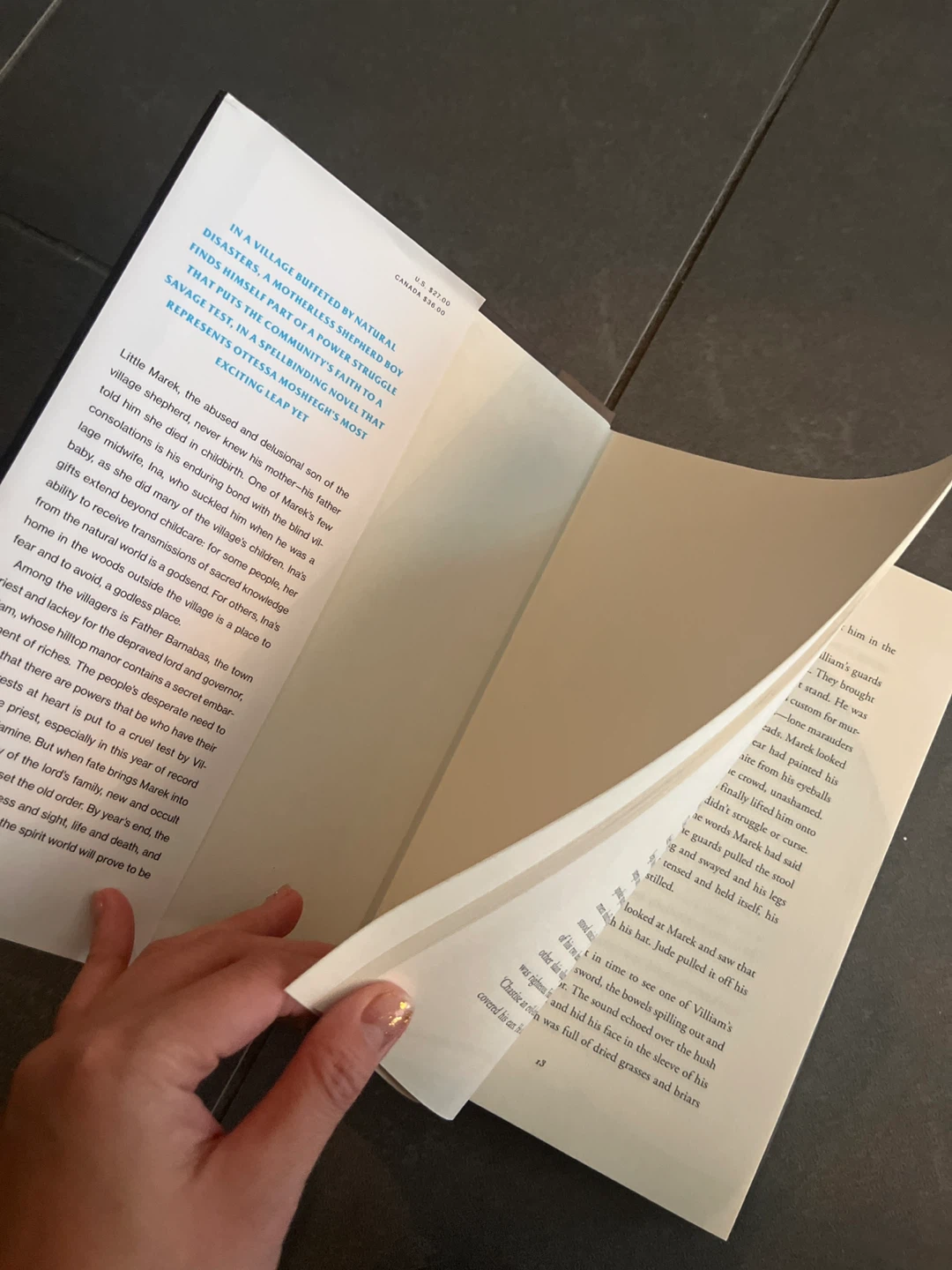 Lapvona by Ottessa Moshfegh - photo 2