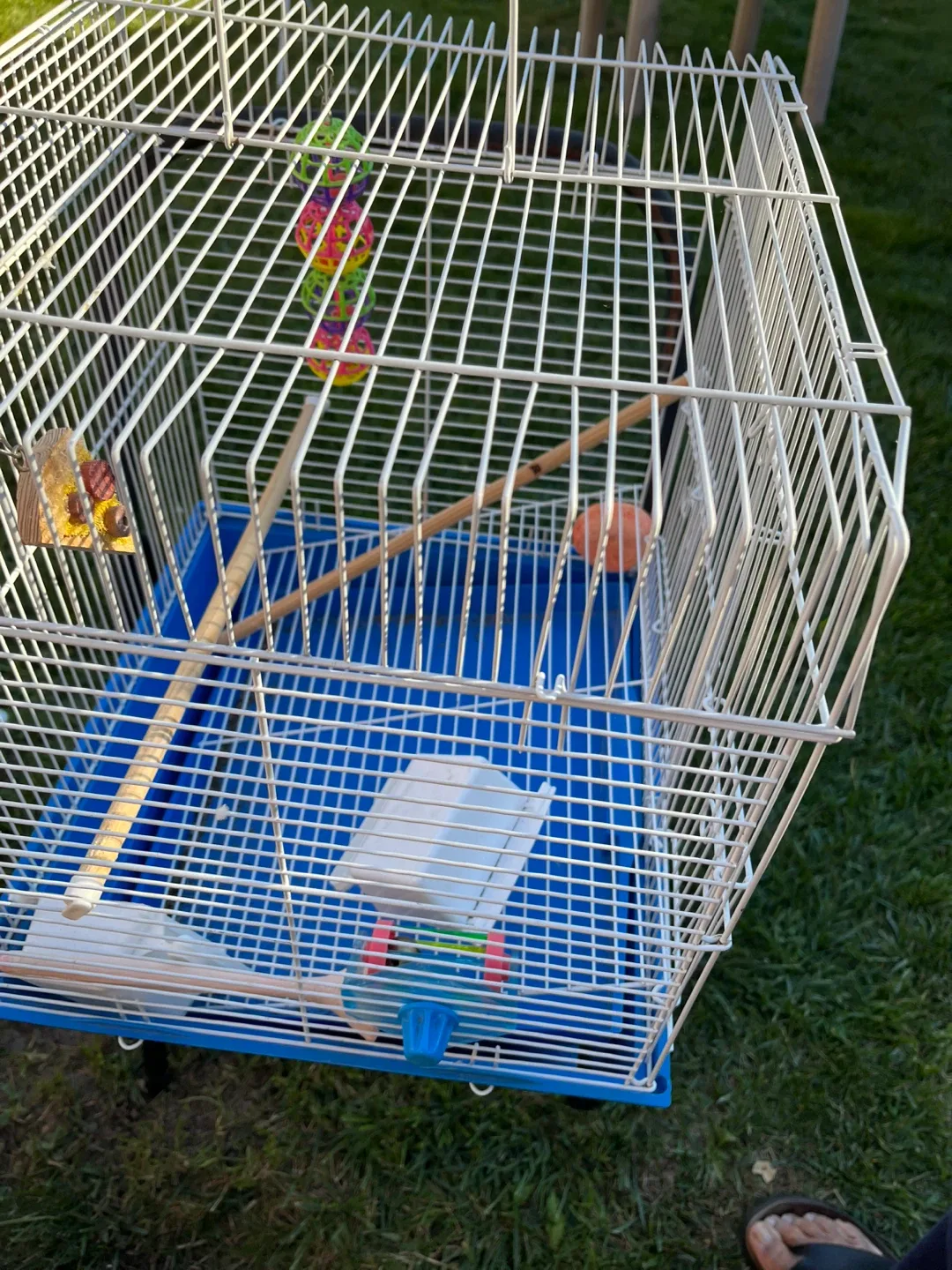 #cleanout Bird Cage - Blue Base WITH TOYS image indicator(2)