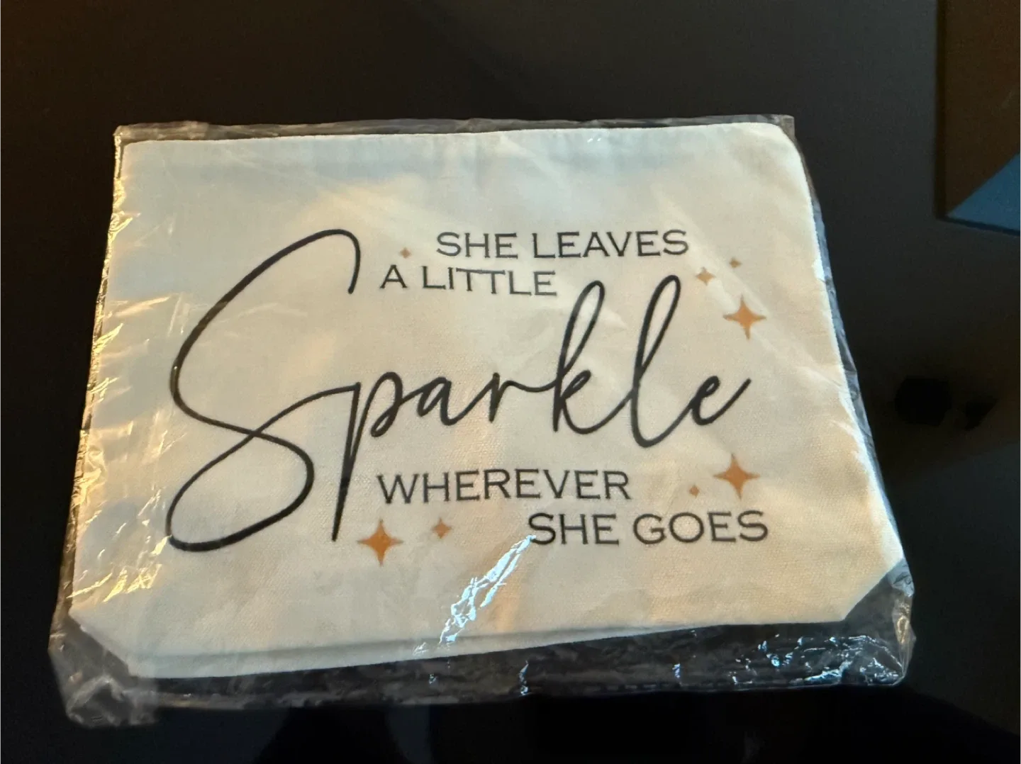 Sparkle Wherever She Goes Makeup Bag - New