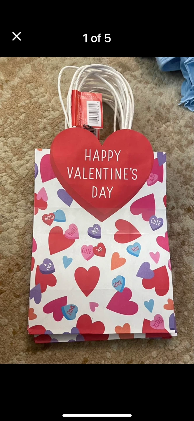 Valentine's Day Party Gift Bags (M)