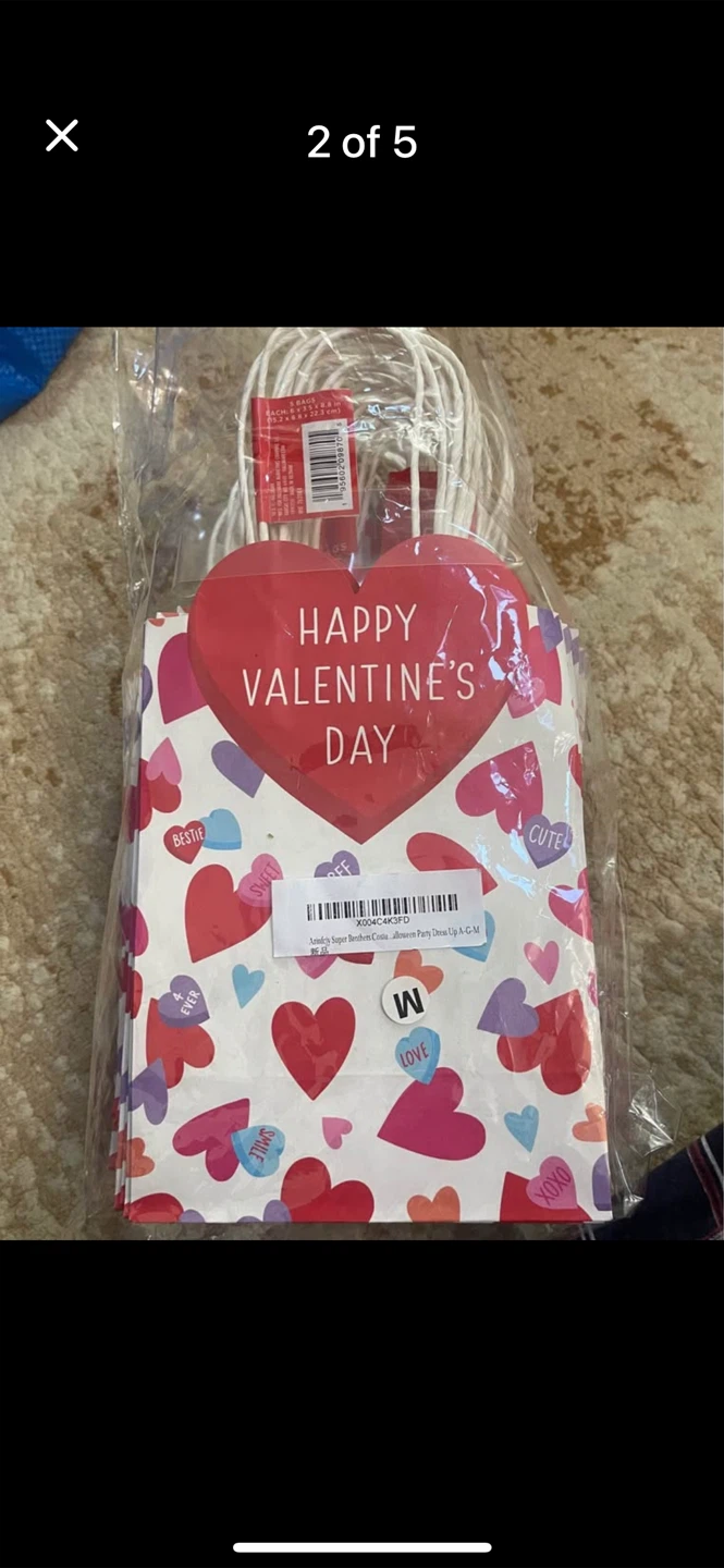 Valentine's Day Party Gift Bags (M) - photo 2