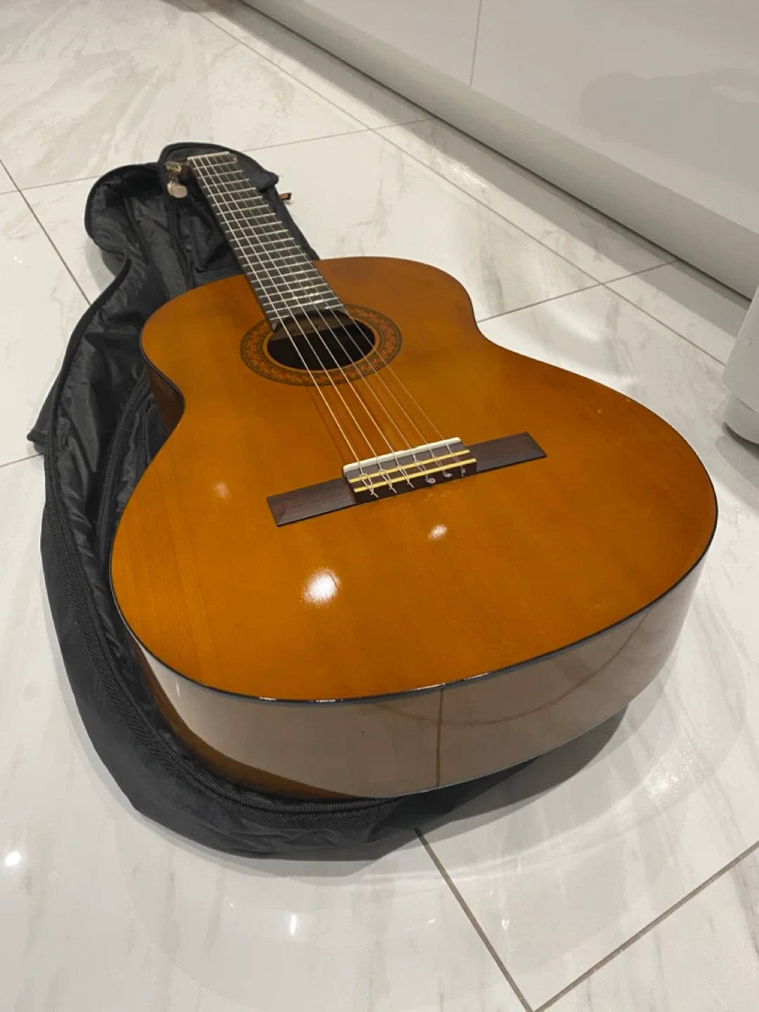 Acoustic Guitar with Case