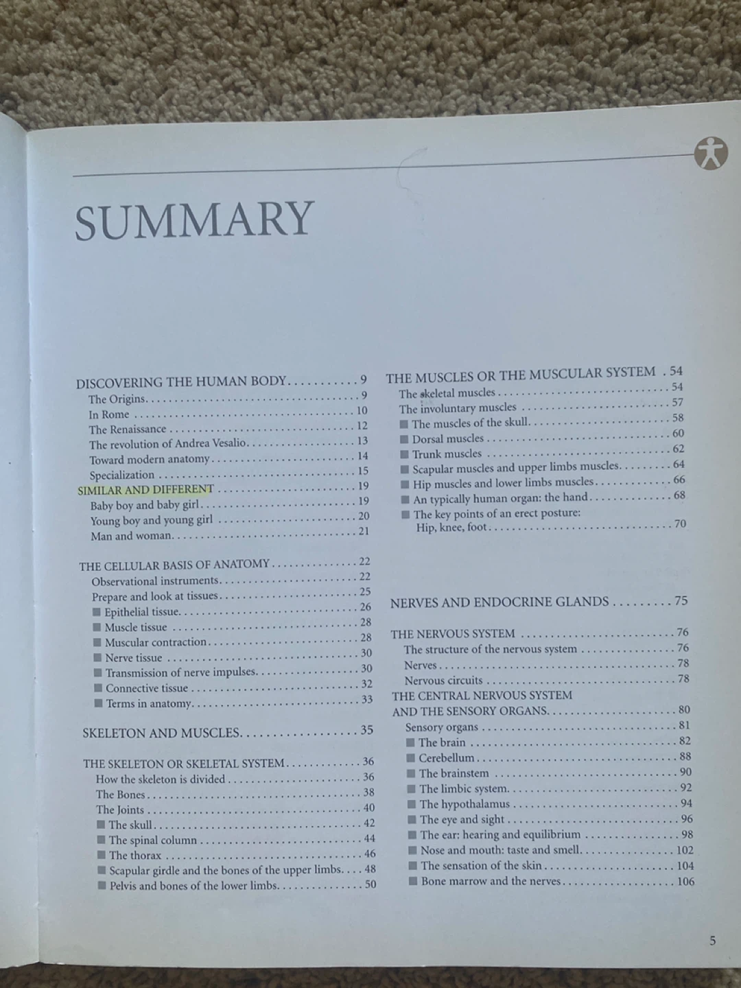 Atlas of Anatomy Book - photo 2