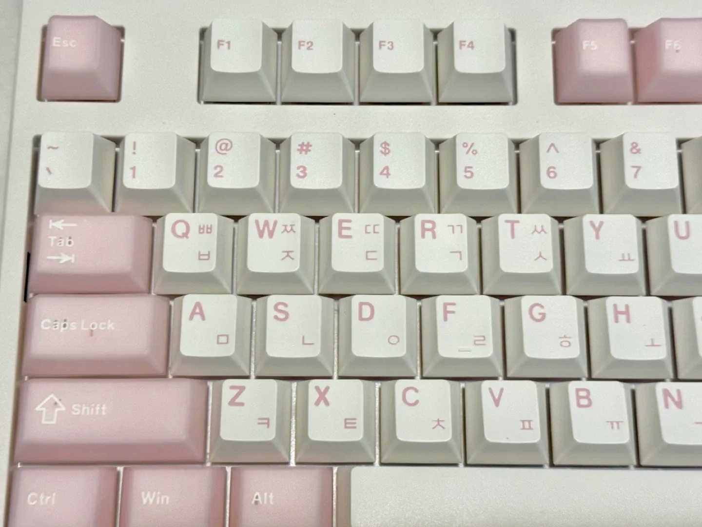 FL-ESPORTS NX108 Cherry Blossom Keyboard image indicator(4)