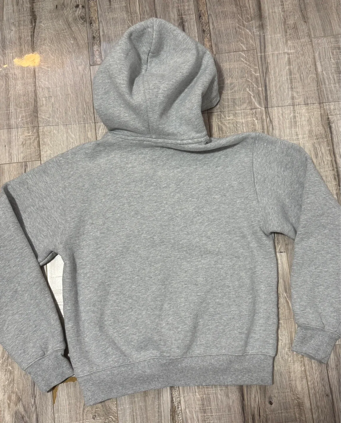 Aritzia Sweatfleece Cozy Fleece Hoodie XS image indicator(3)