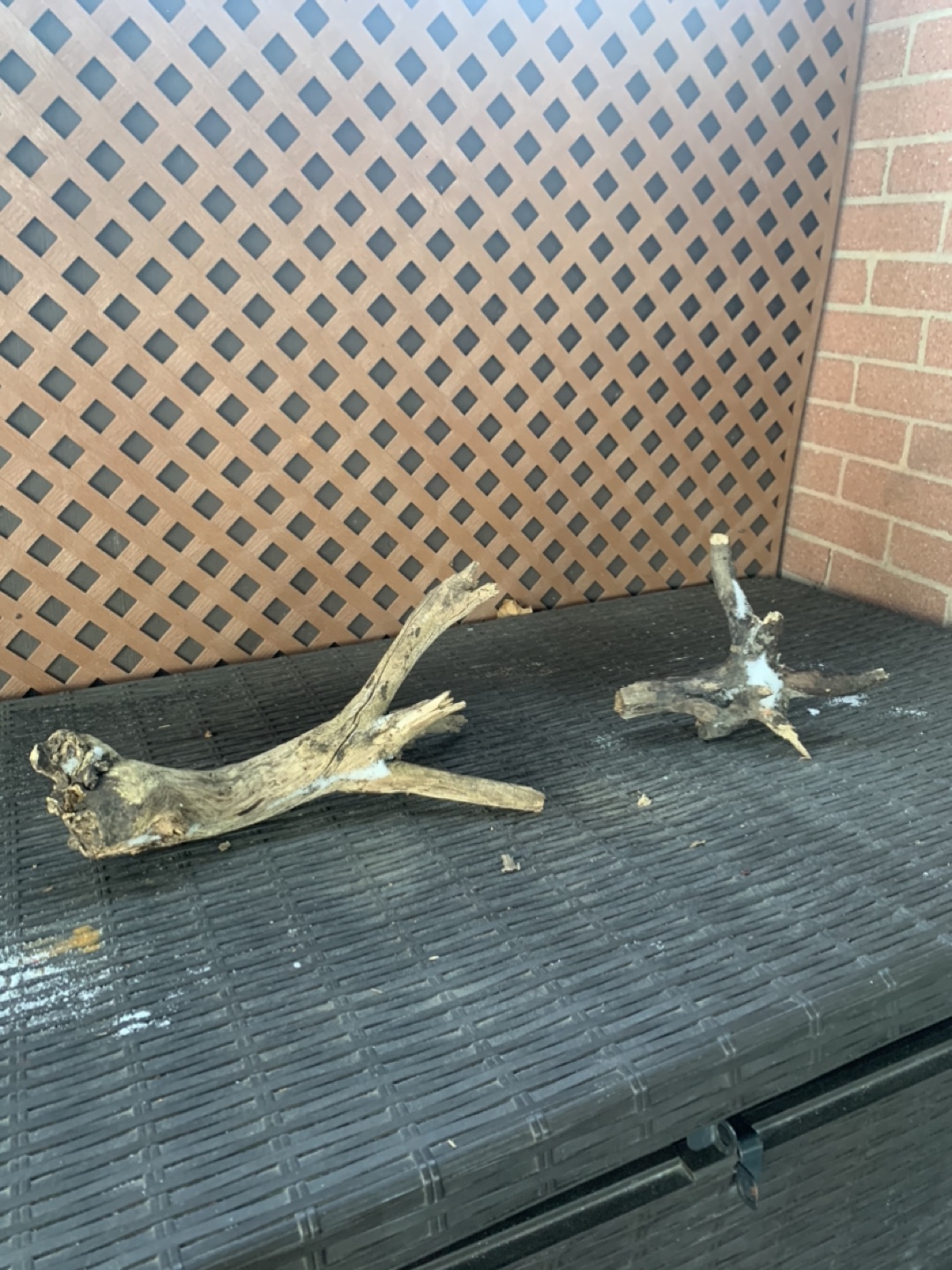 Driftwoods from $5 to $25 - photo 4
