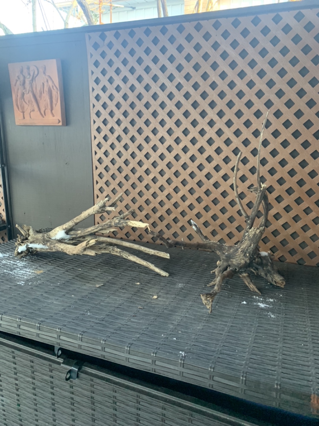 Driftwoods from $5 to $25 - photo 3