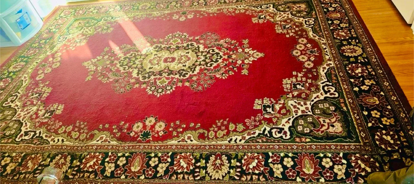 Red Patterned Area Rug
