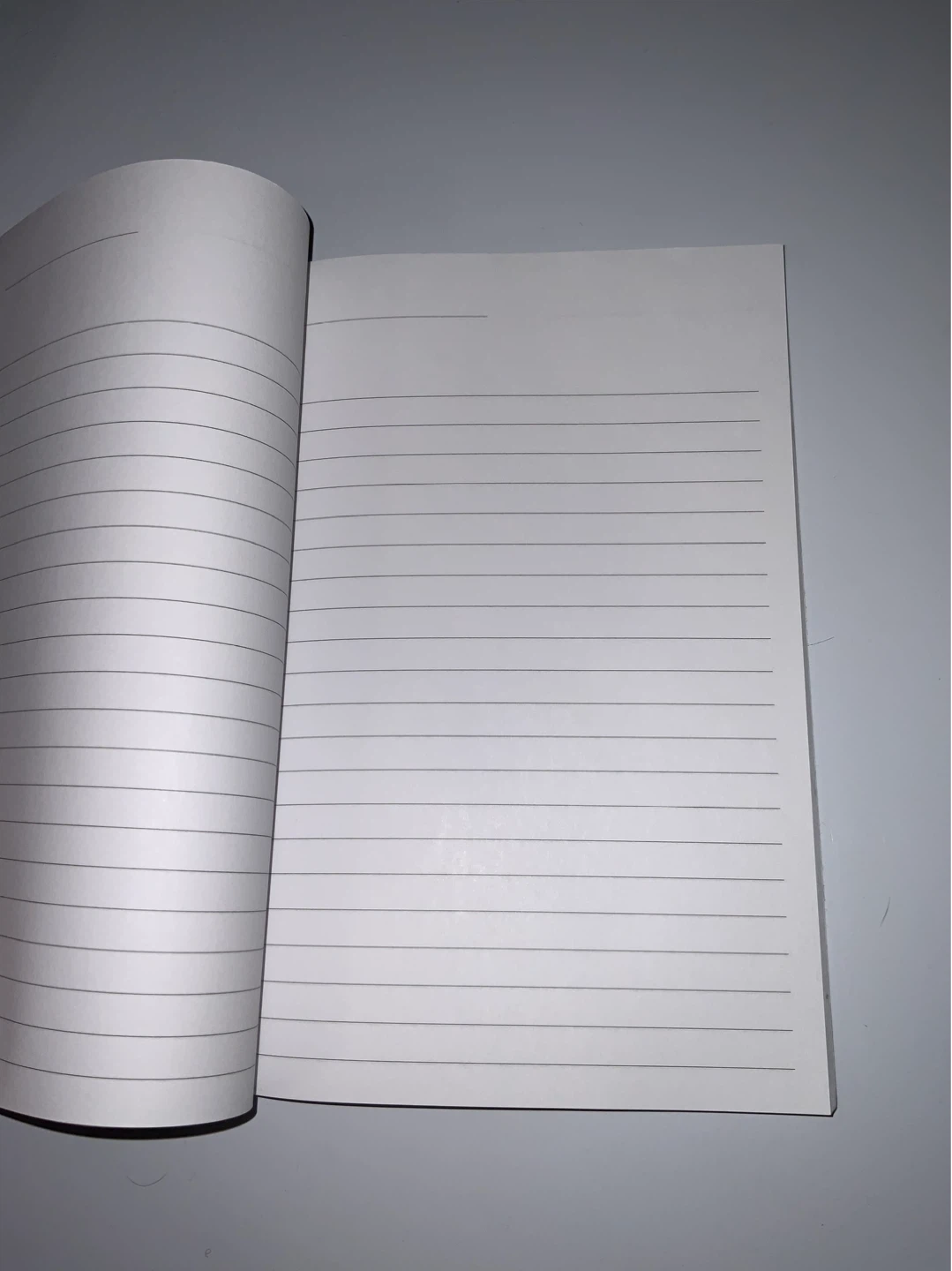Cute New Journal with Lined Pages #Cleanout - photo 2