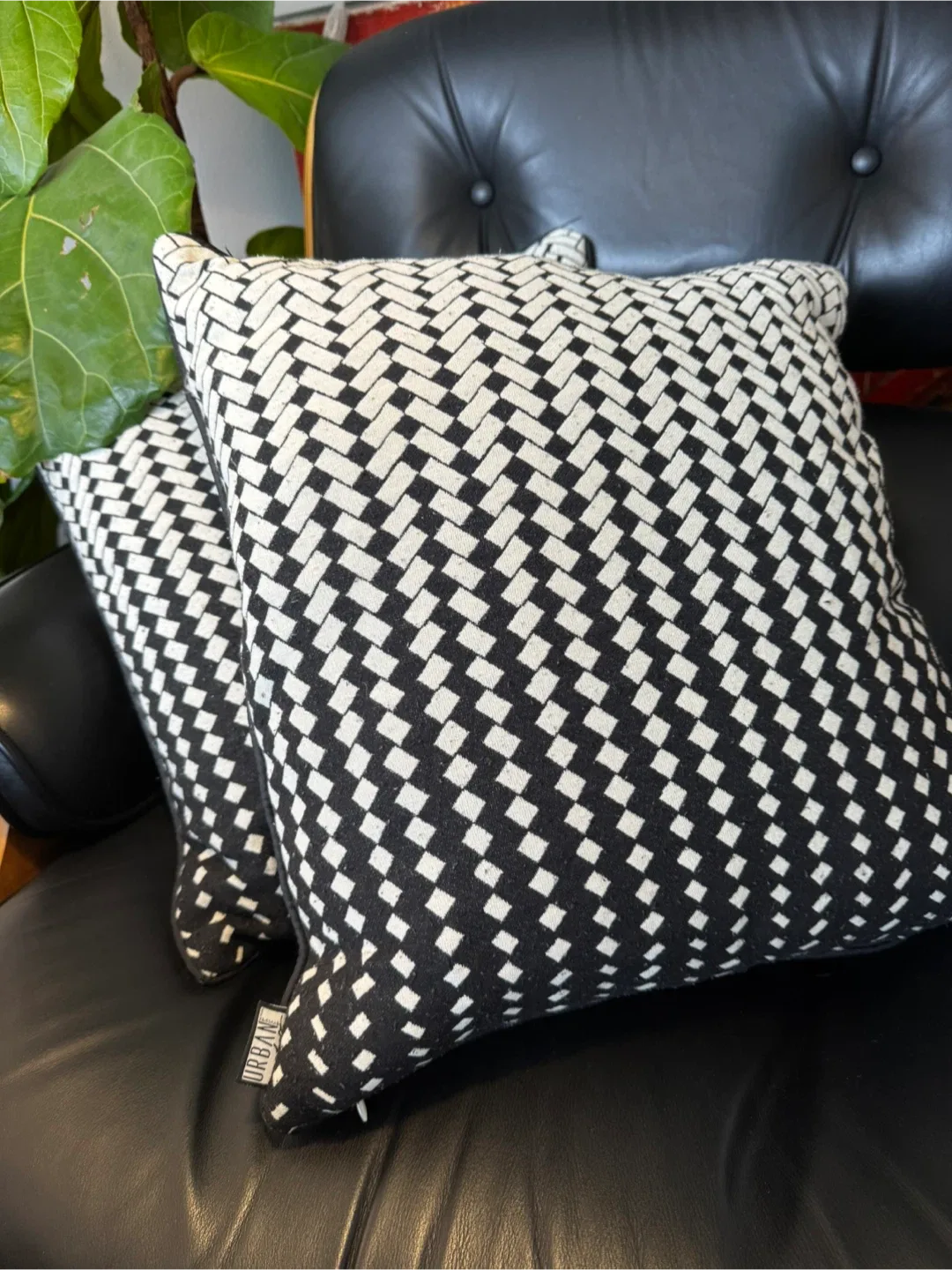 #cleanout Black & Off White throw pillows/cushions (set of 2)