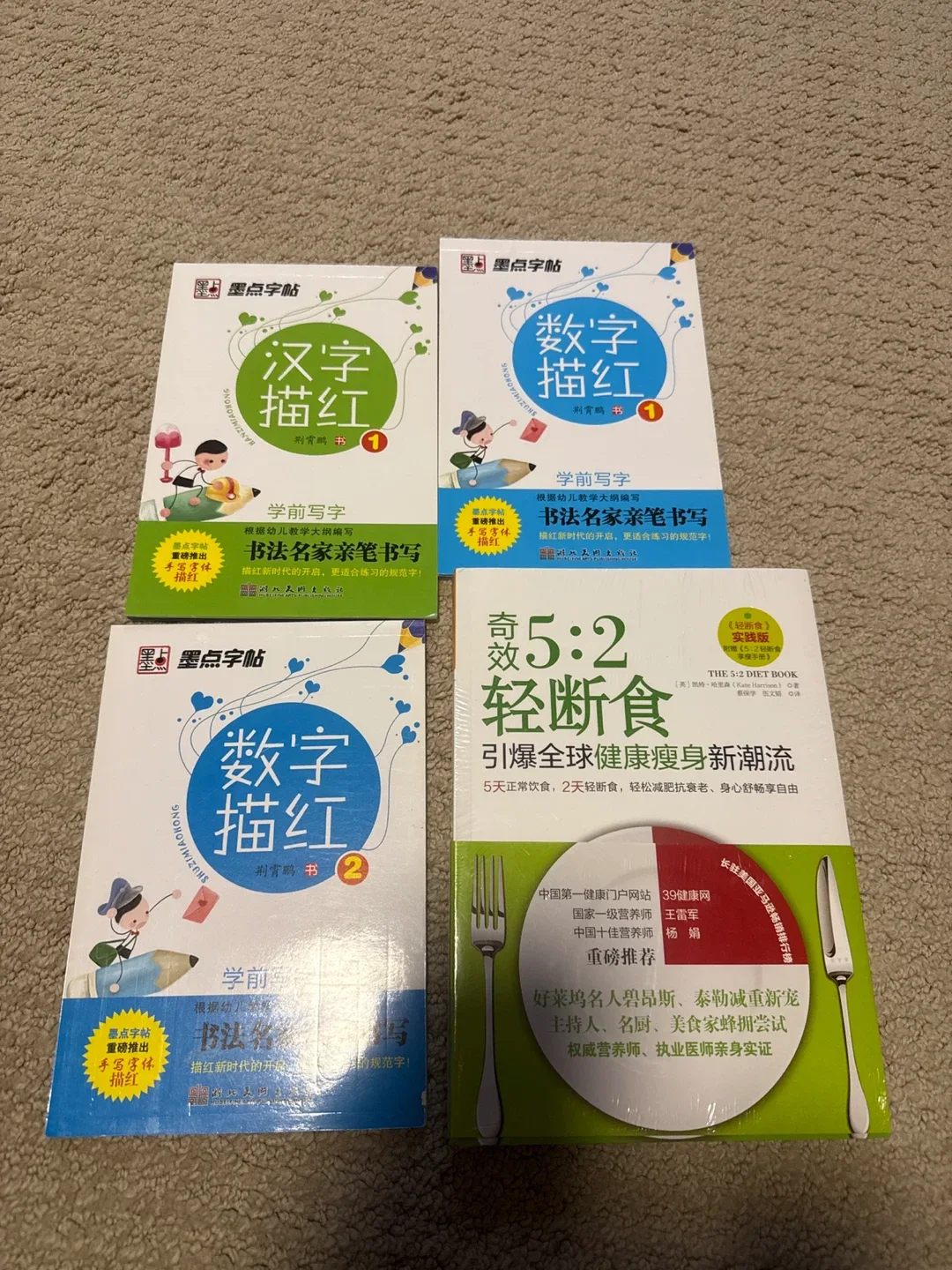 Hanzi & Shuzi Miao Hong Handwriting Practice Books