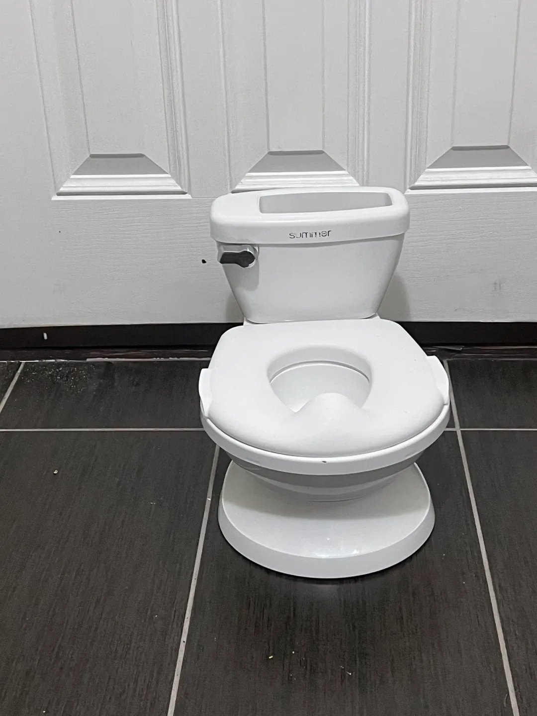 Summer Infant My Size Potty