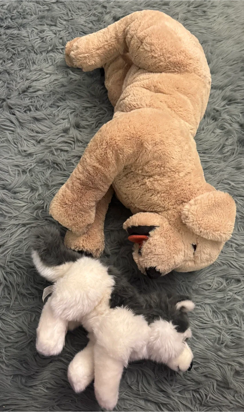 Plush Husky Dog Stuffed Animal image indicator(5)