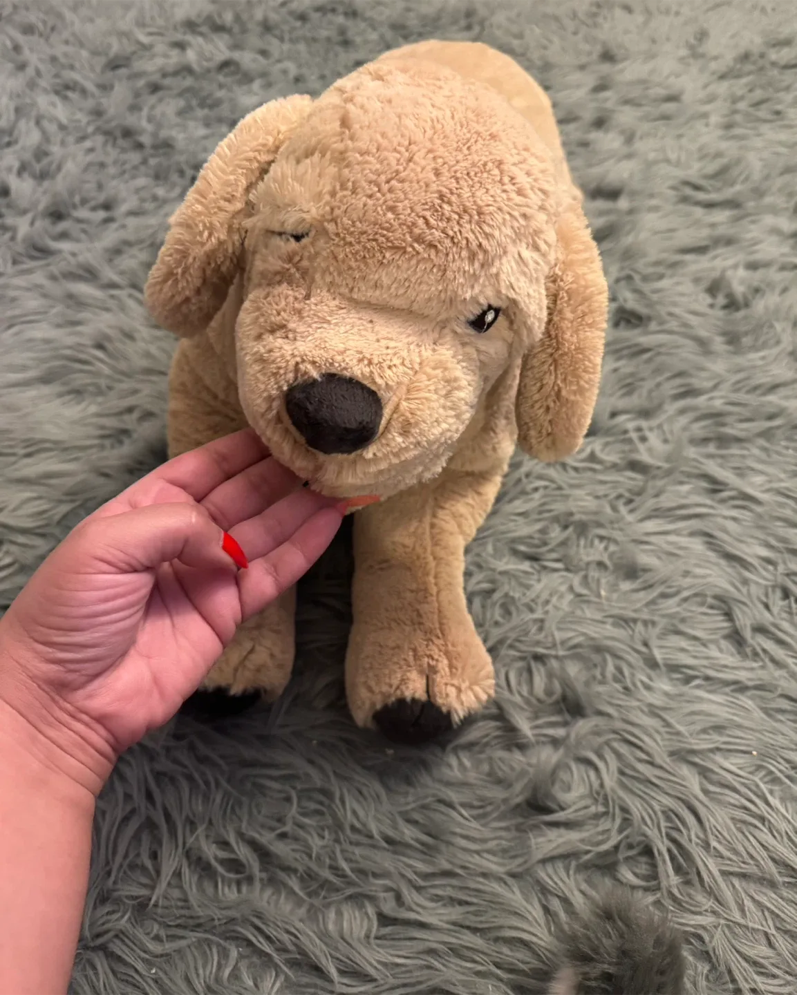 Plush Husky Dog Stuffed Animal image indicator(3)