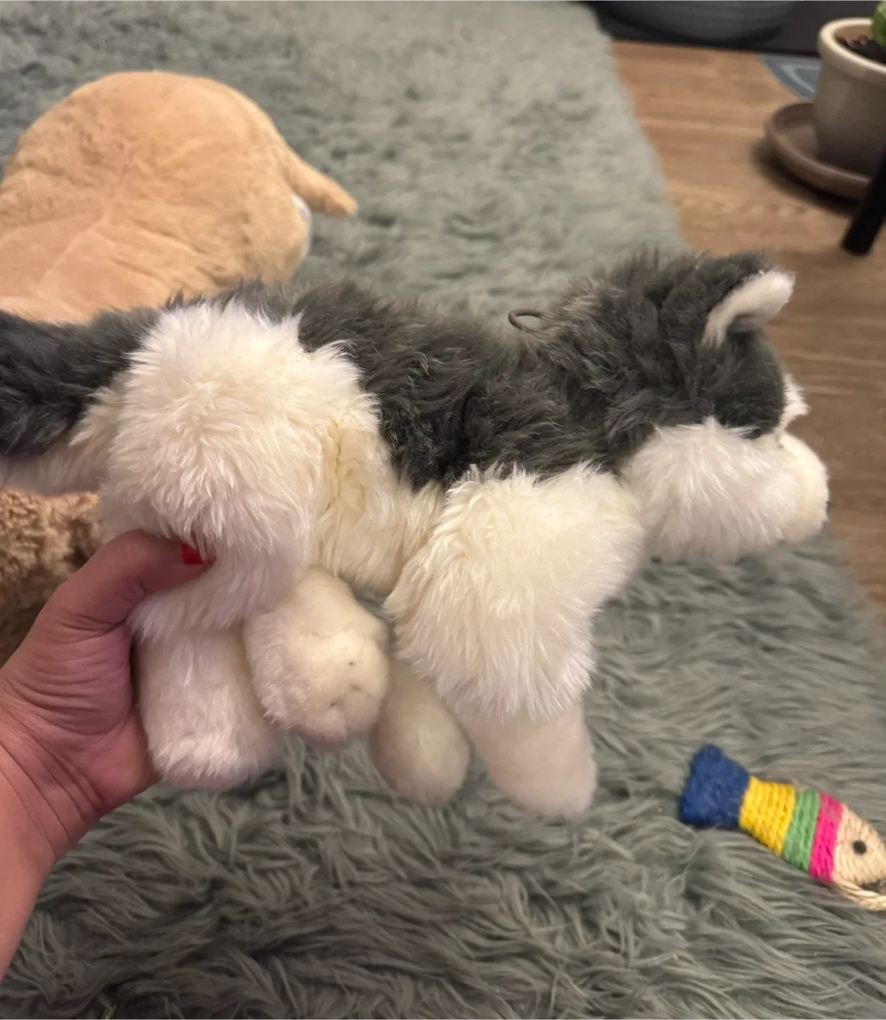 Plush Husky Dog Stuffed Animal image indicator(2)