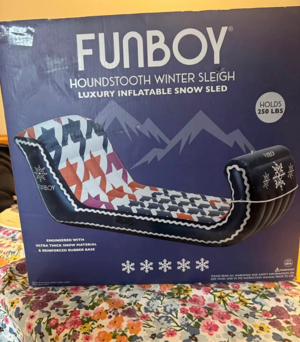 Winter Sleigh - New in Box!