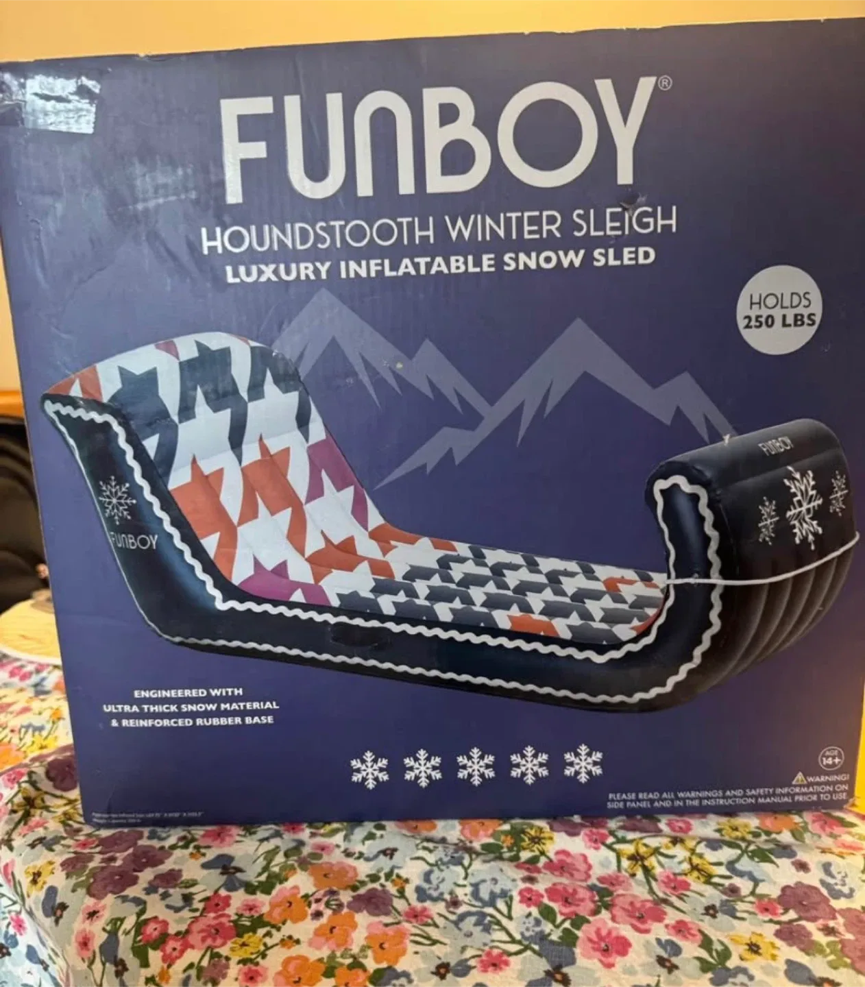 Winter Sleigh - New in Box!