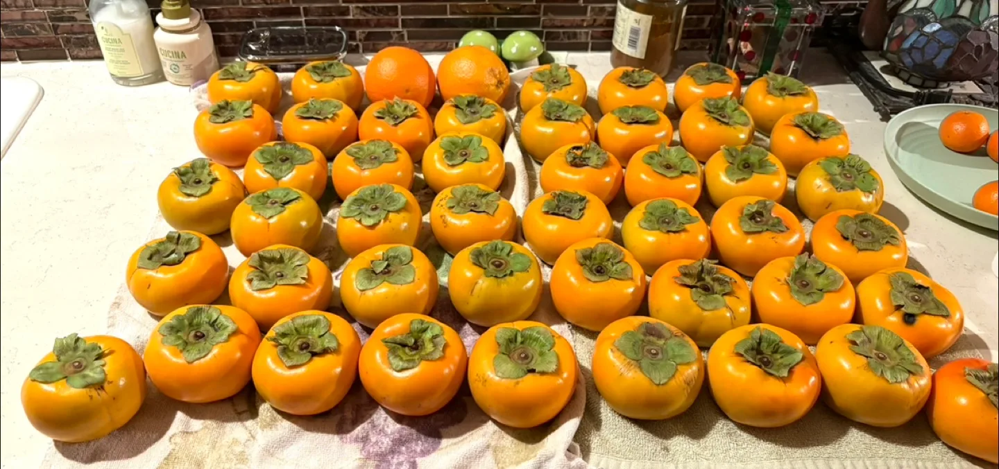 Sleeveless Tie-Back Top - Metallic Size M image indicator(8)