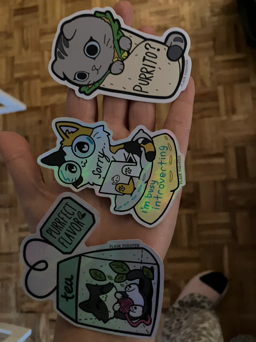 Flair Fighter Cat Keychain & Stickers - photo 2