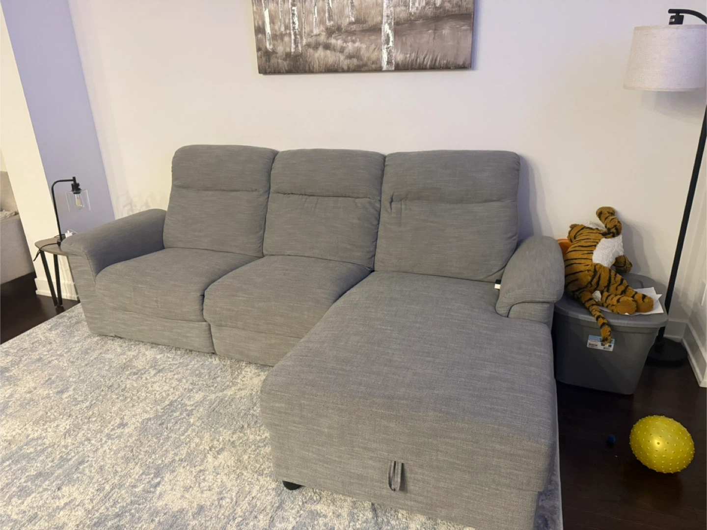 Grey Sectional Sofa with Chaise Lounge - photo 3