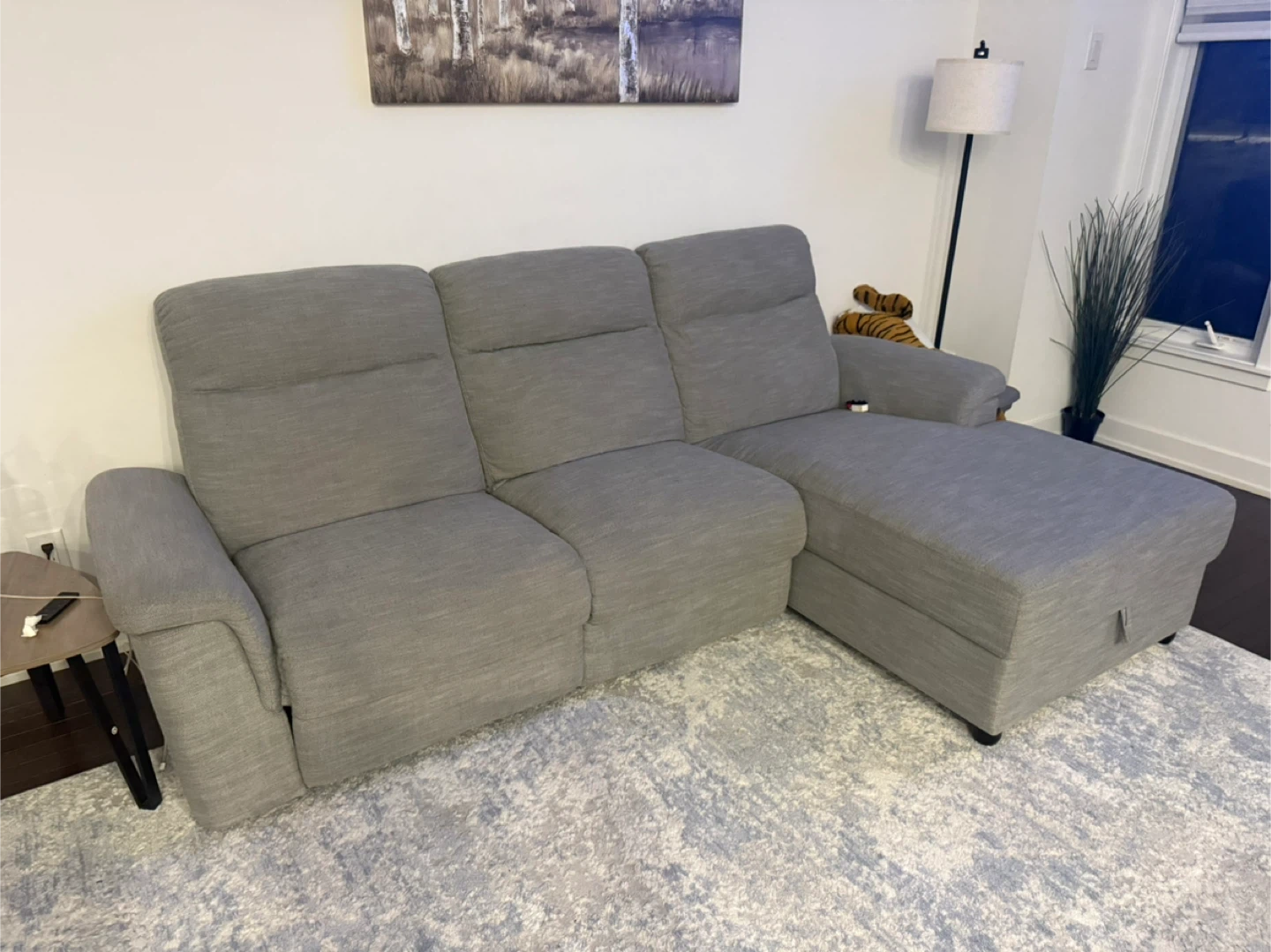 Grey Sectional Sofa with Chaise Lounge - photo 4
