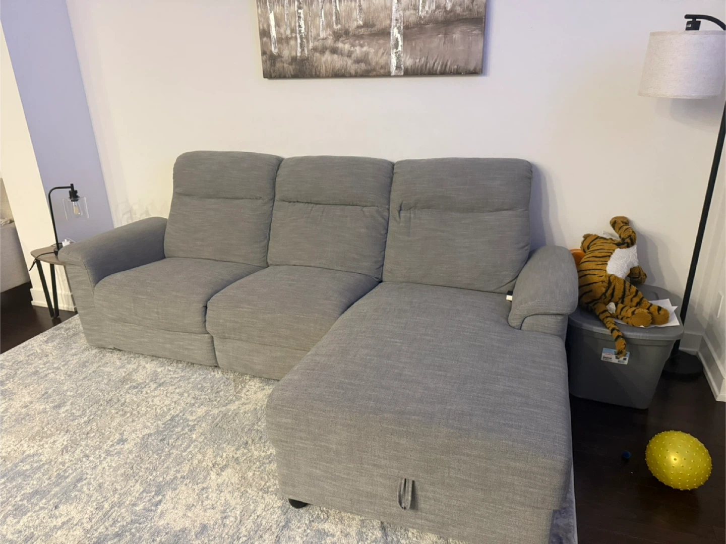 Grey Sectional Sofa with Chaise Lounge - photo 2