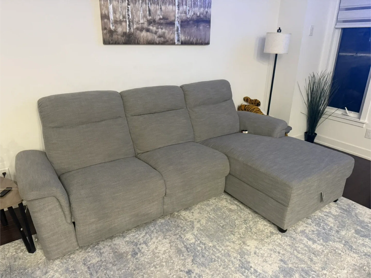 Grey Sectional Sofa with Chaise Lounge