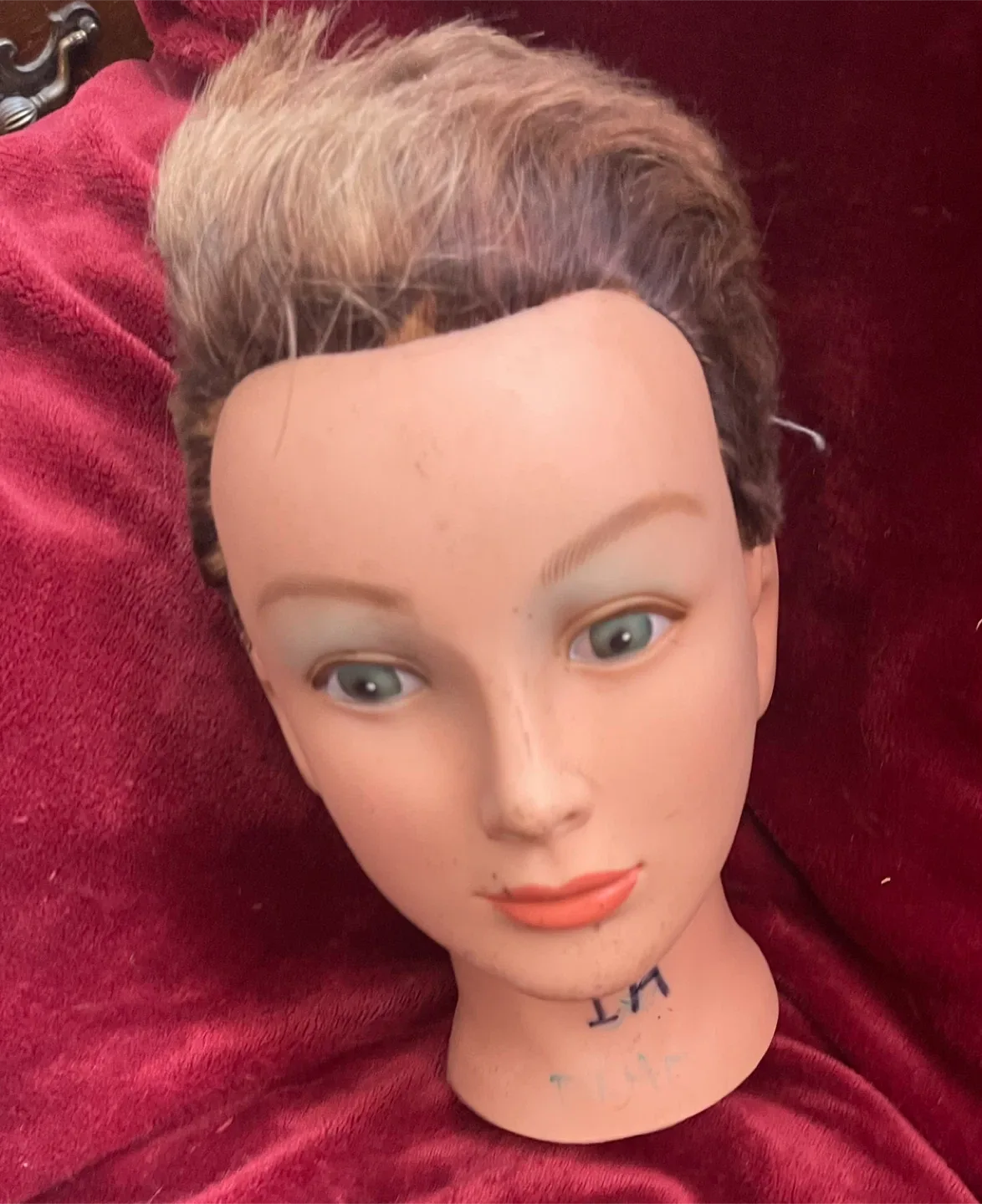 HOME ALONE ? Mannequin Heads image indicator(3)