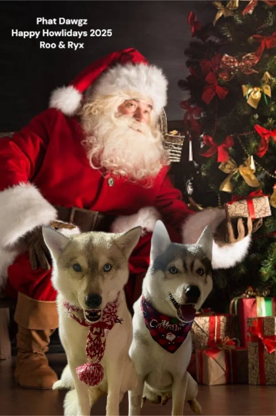 Pet Grooming/In home boarding