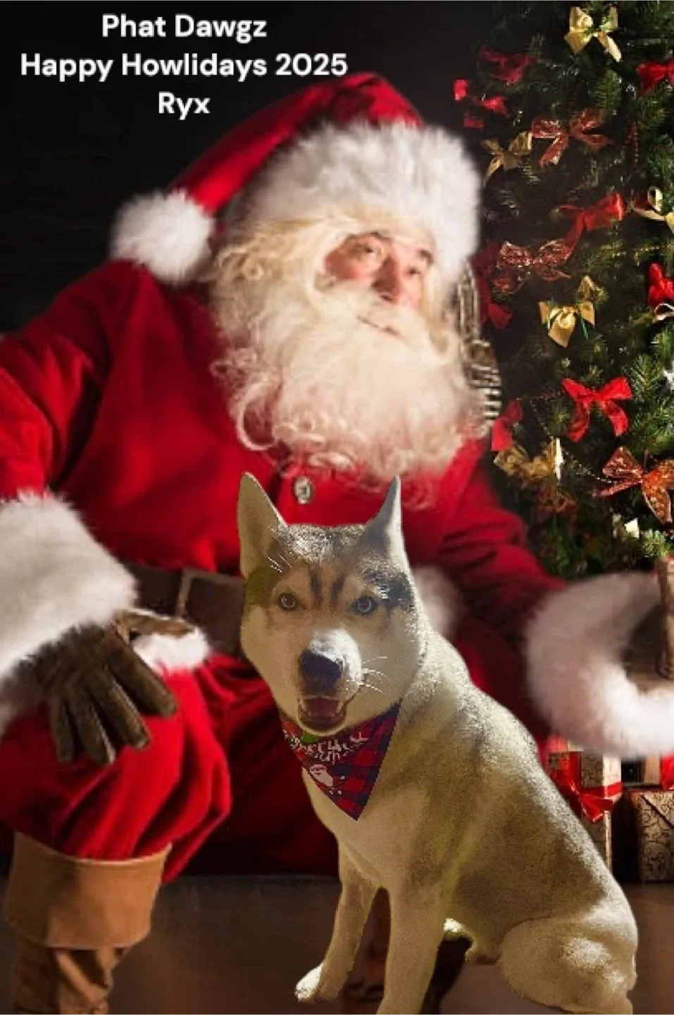 Pet Grooming/In home boarding image indicator(3)