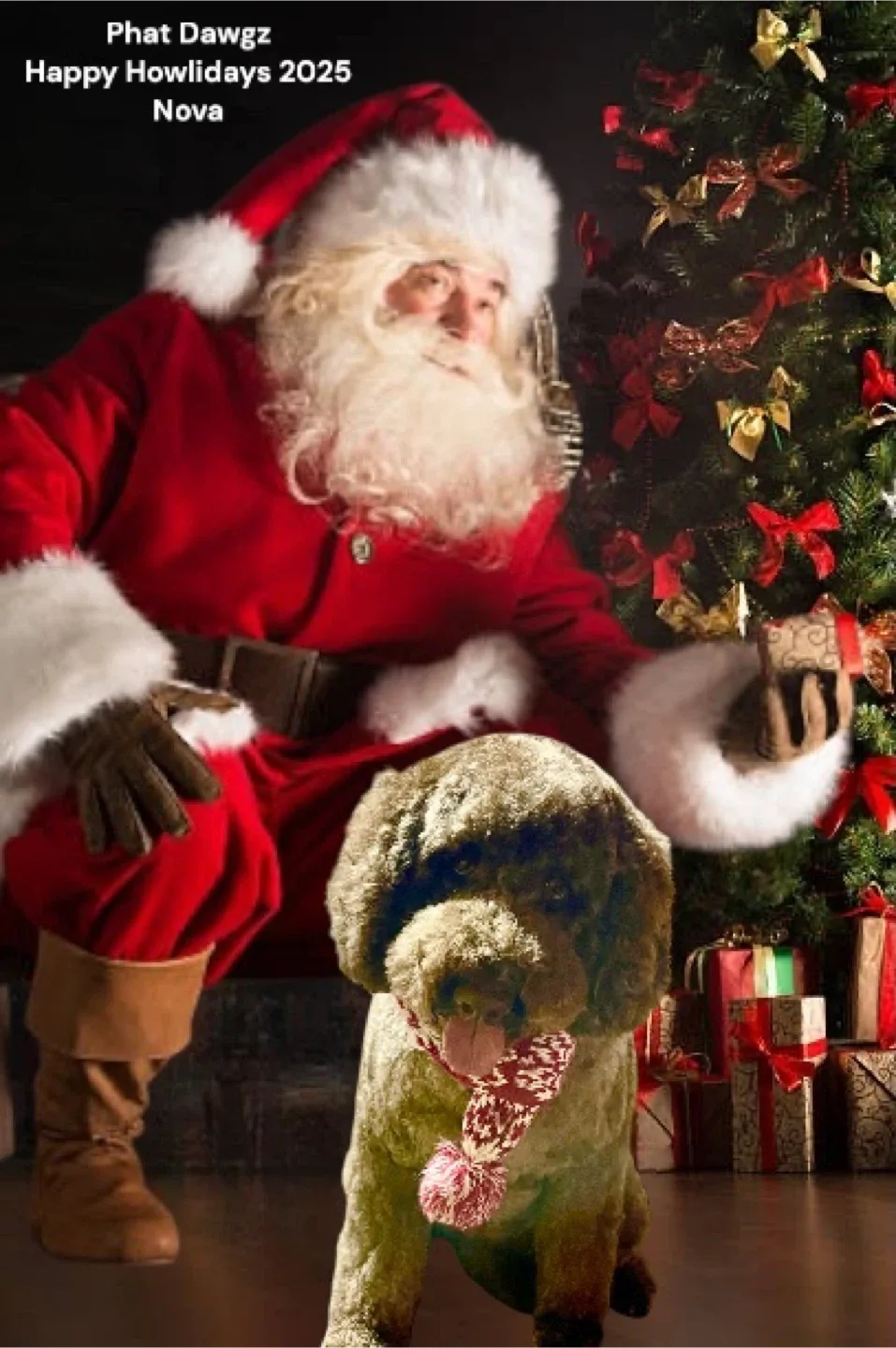 Pet Grooming/In home boarding image indicator(4)