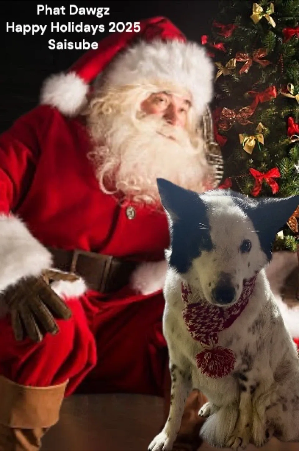 Pet Grooming/In home boarding image indicator(8)