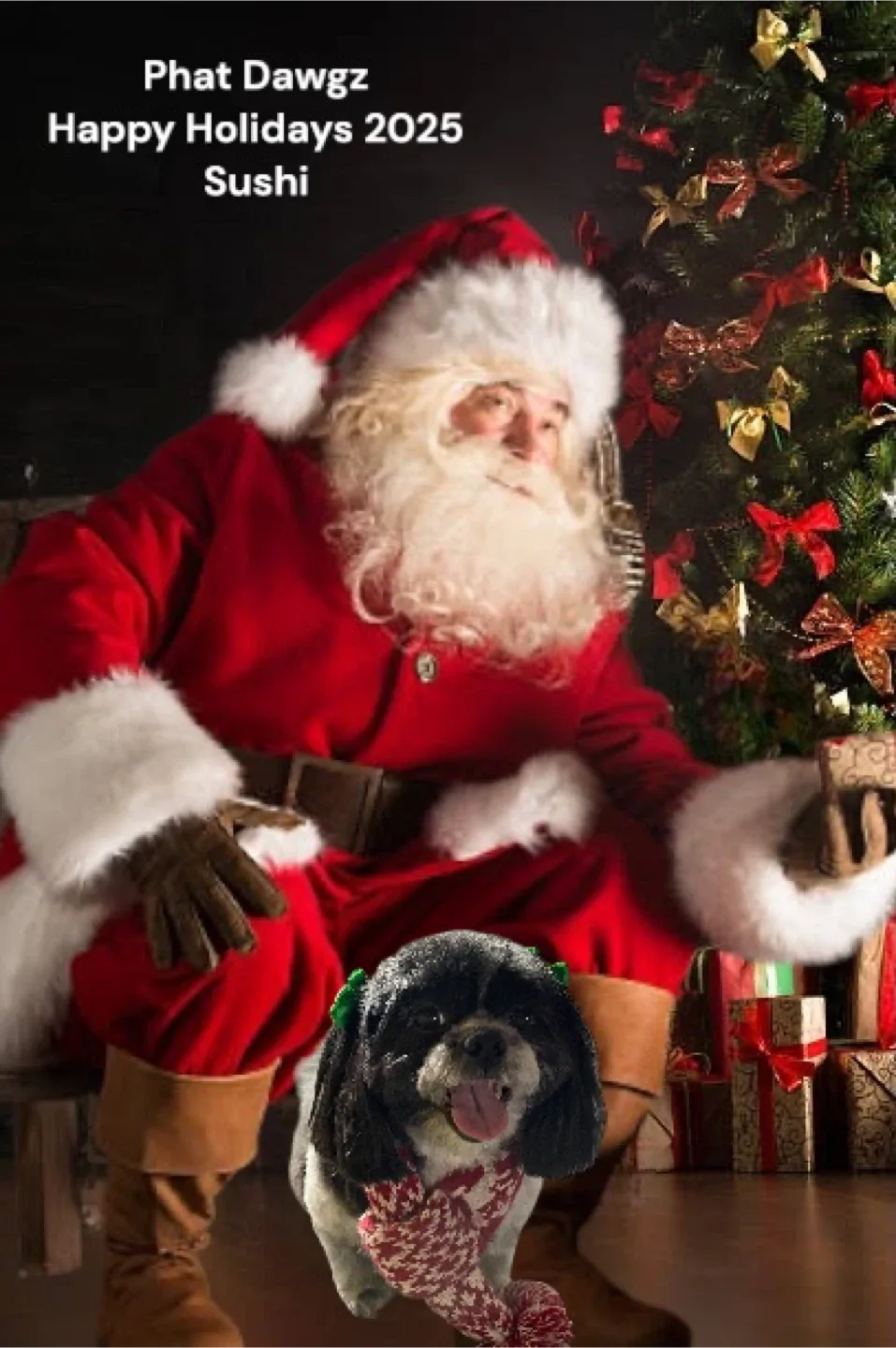 Pet Grooming/In home boarding image indicator(9)