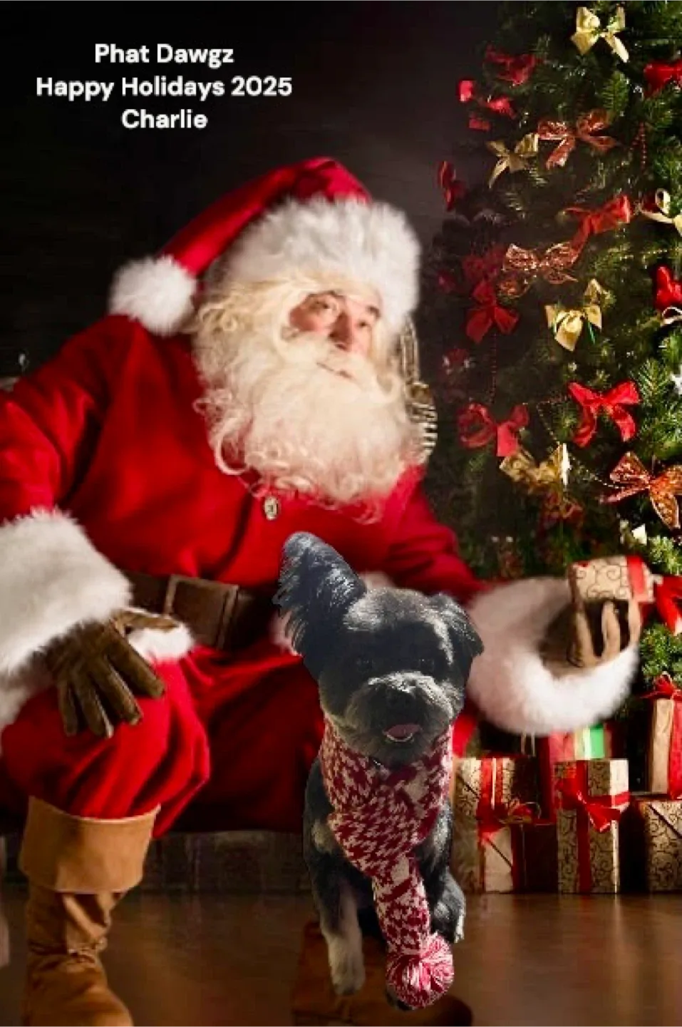 Pet Grooming/In home boarding image indicator(7)