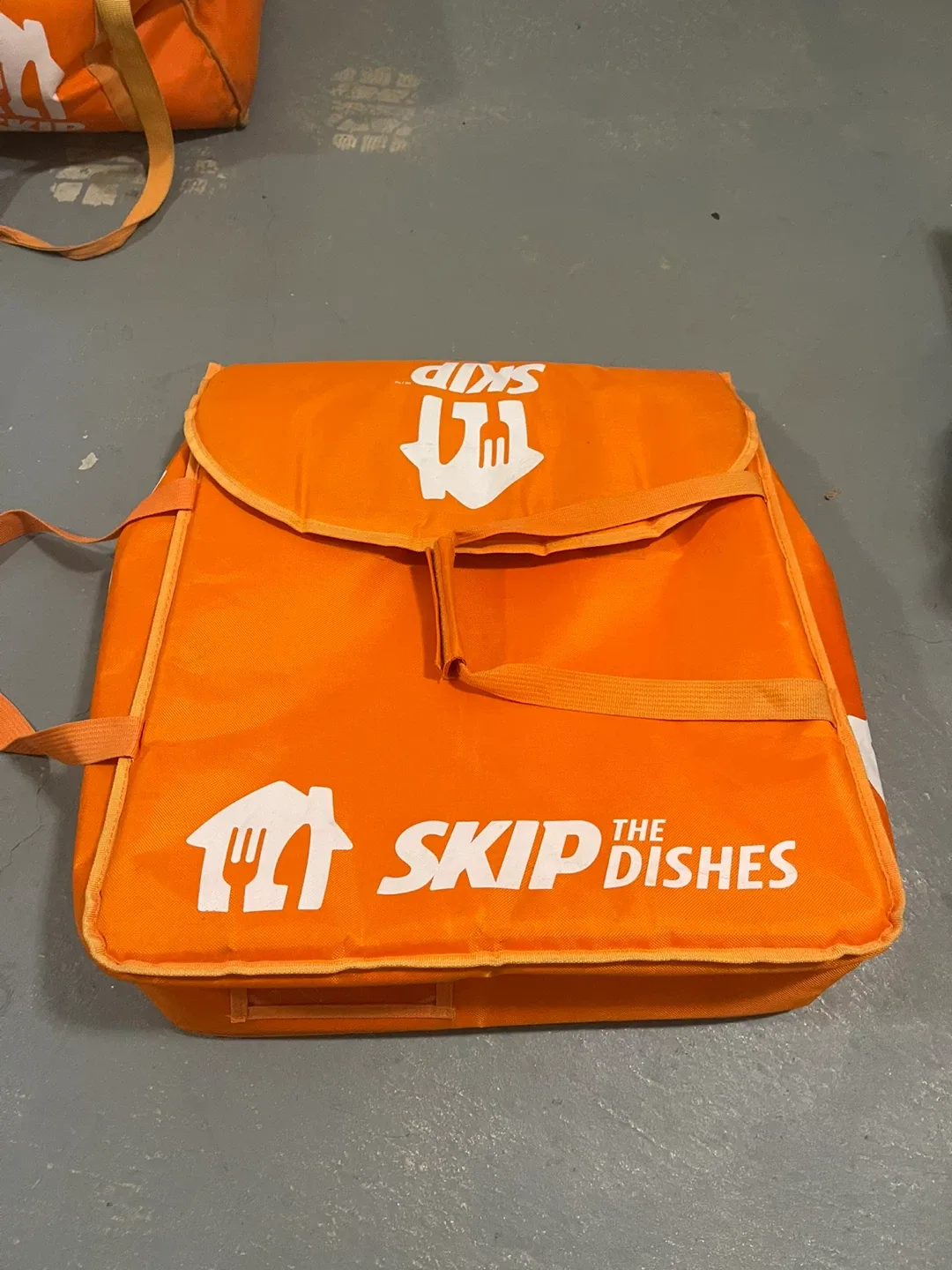 Skip The Dishes Insulated Delivery Bag