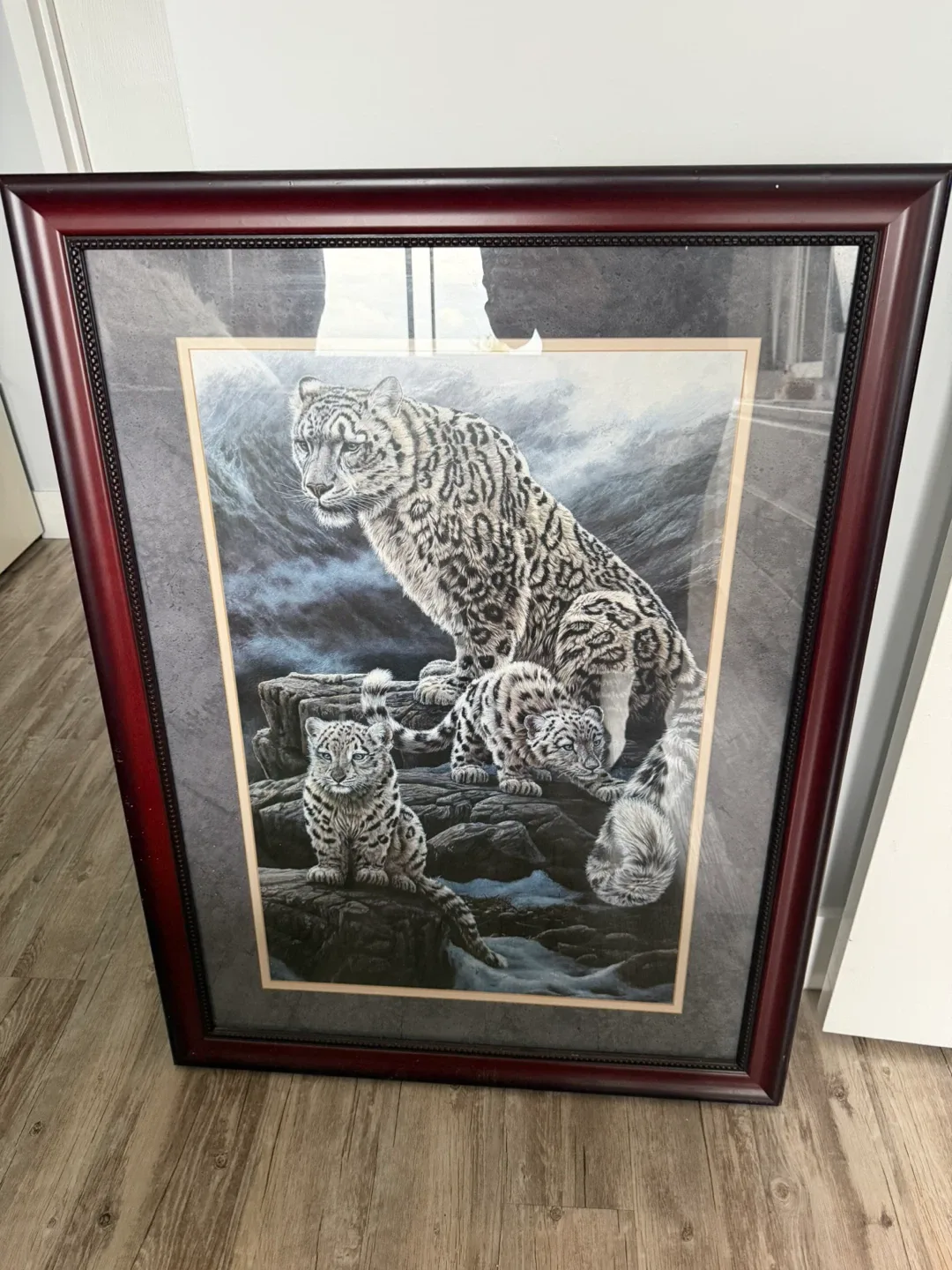 Framed Snow Leopard Art Print