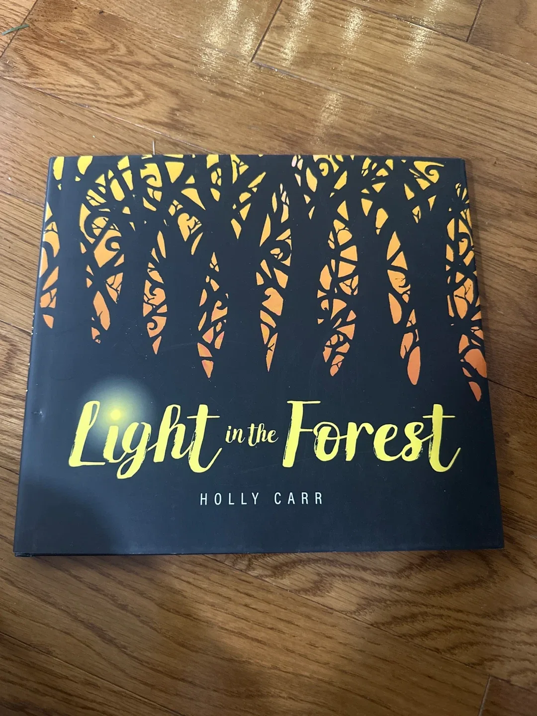 Light in the Forest by Holly Carr