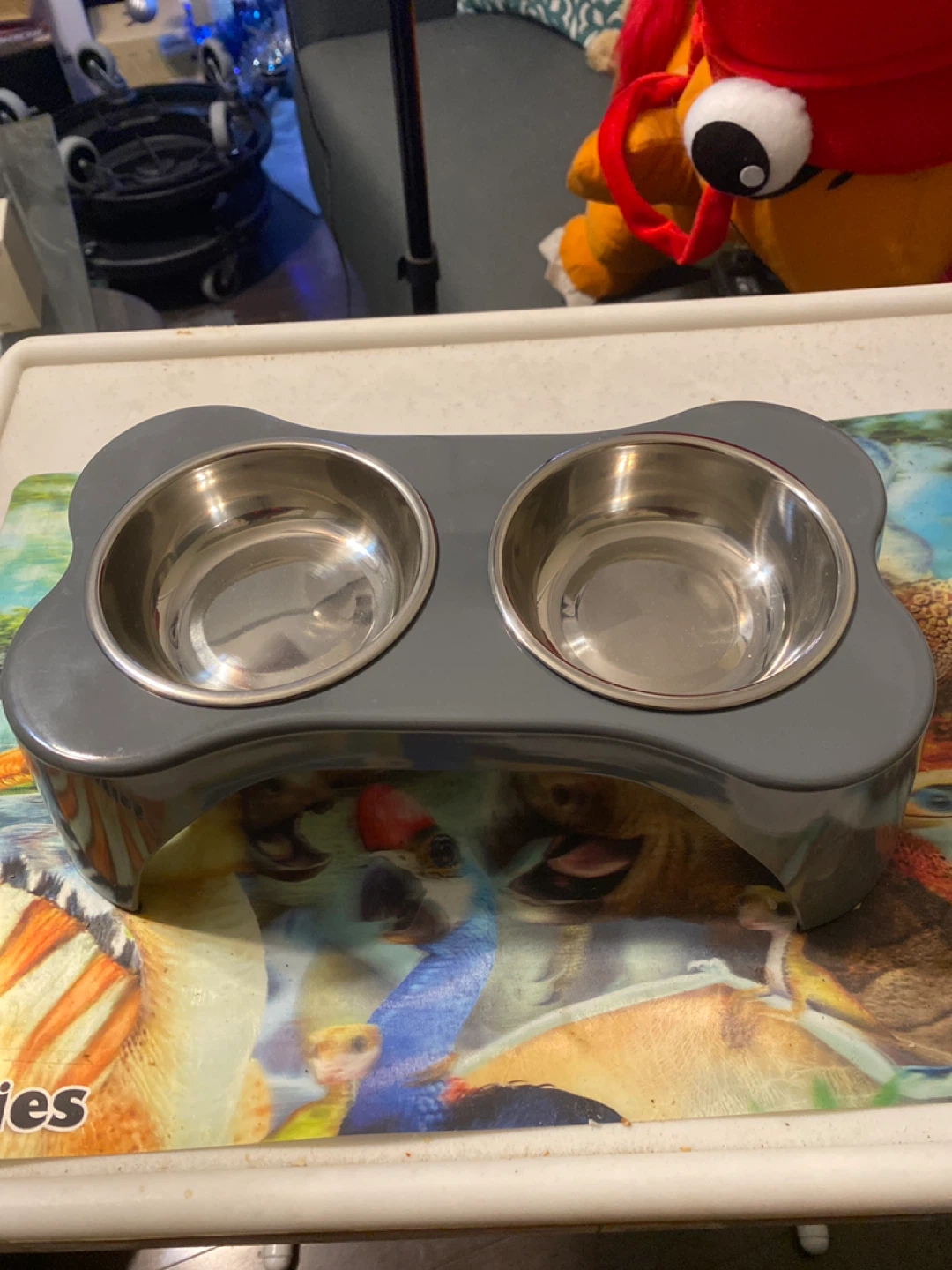 Dog Bowl