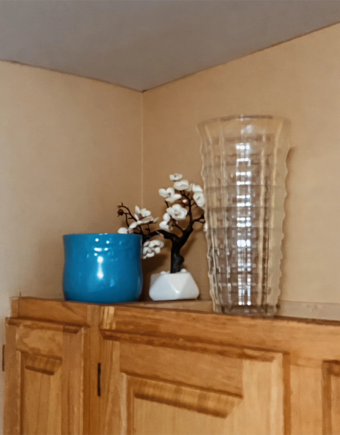Home Decor: Blue Pot, Flower Tree, Glass Vase
