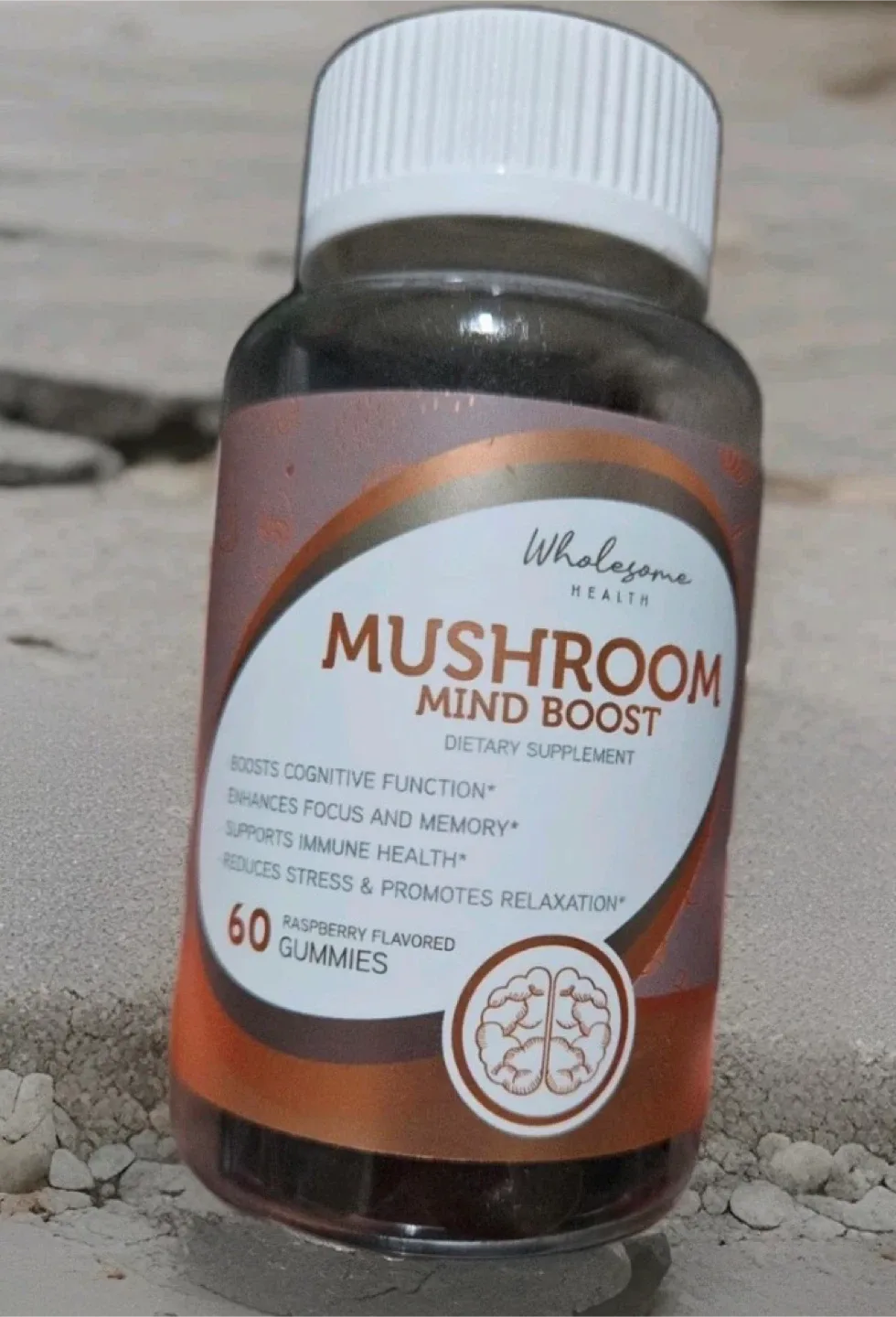 Wholesome Health Mushroom Mind Boost - 60 Gummies