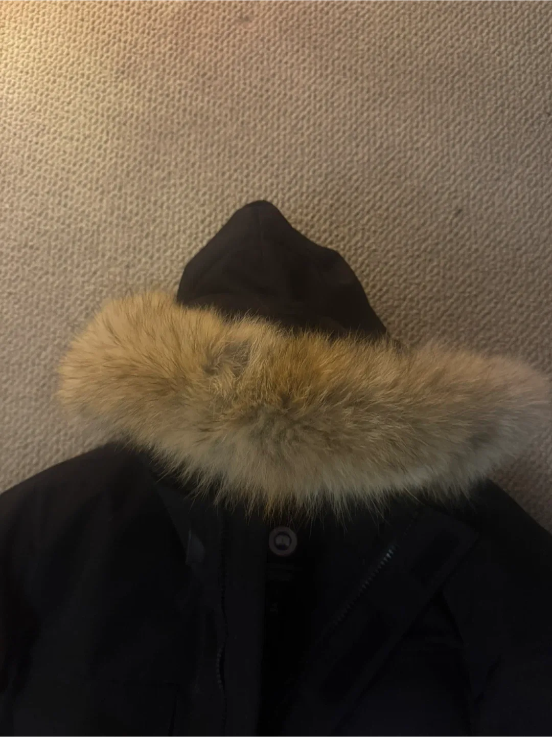 Canada Goose Expedition Parka - Black image indicator(2)