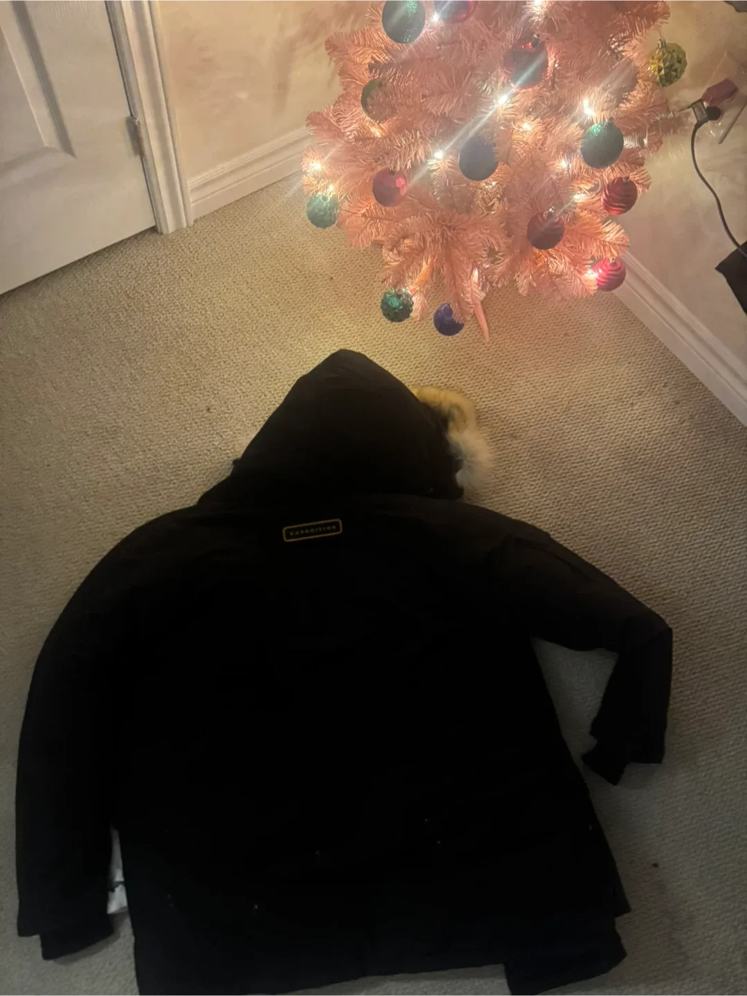 Canada Goose Expedition Parka - Black image indicator(4)