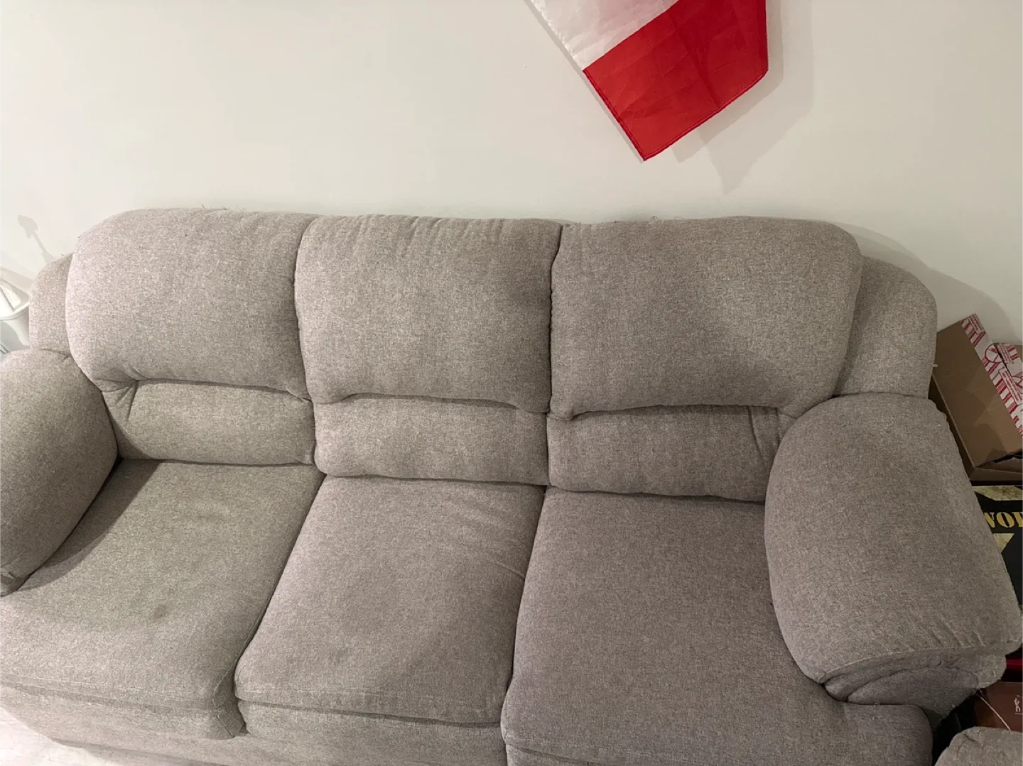 Beige Sofa Set - Couch and Loveseat image indicator(4)