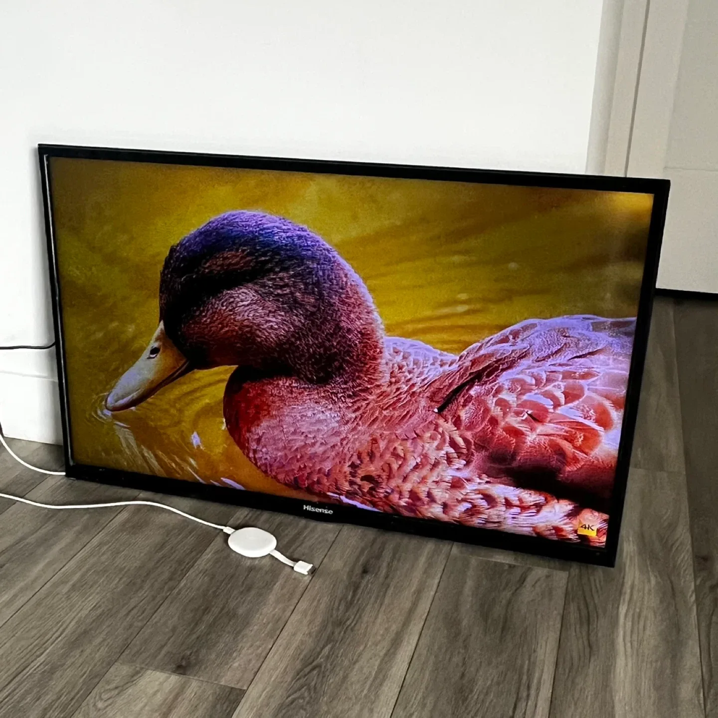 Hisense TV image indicator(2)