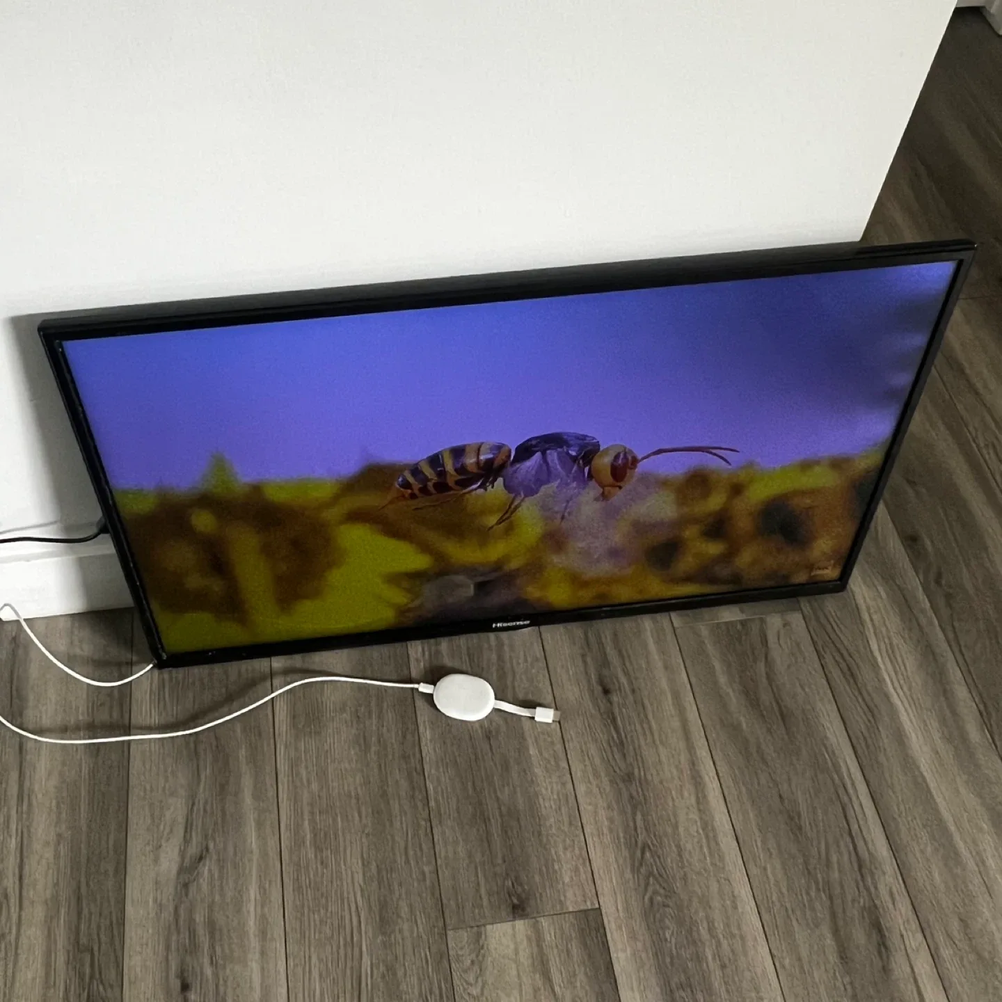 Hisense TV image indicator(9)