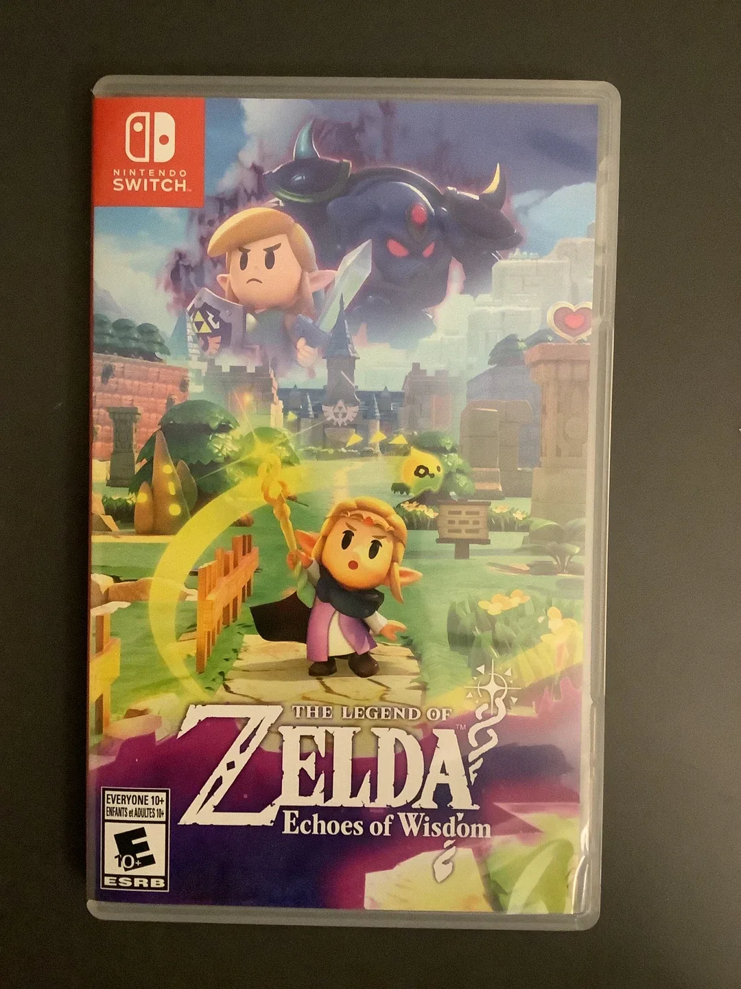 Legend of Zelda: Echoes of Wisdom (Nintendo Switch) #Cleanout