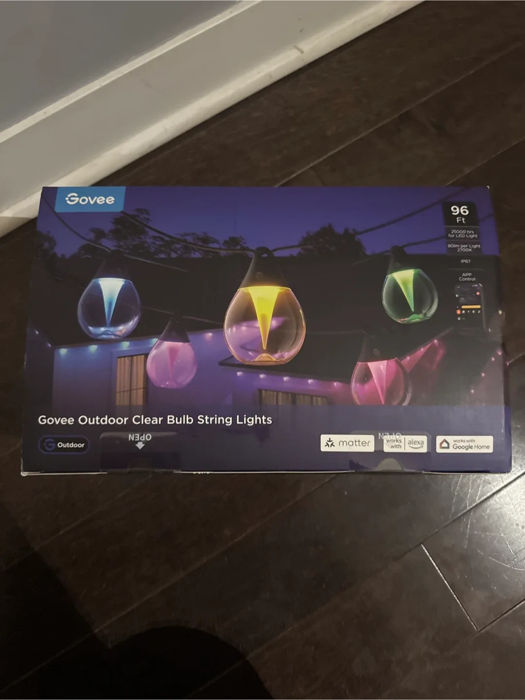 #cleanout BNIB Govee Outdoor Clear Bulb String Lights - 96ft
