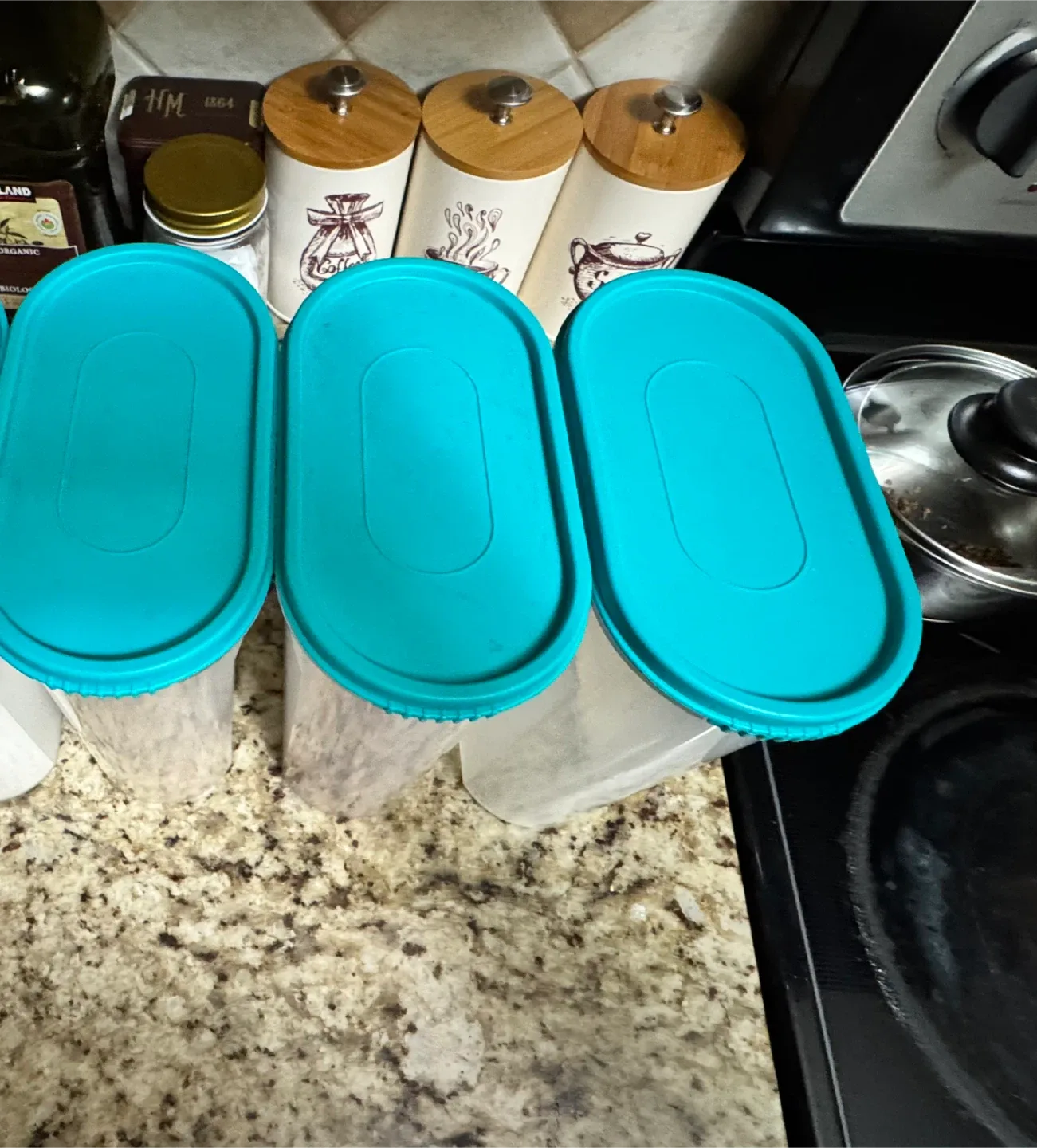 Food Storage Container- Set of 3